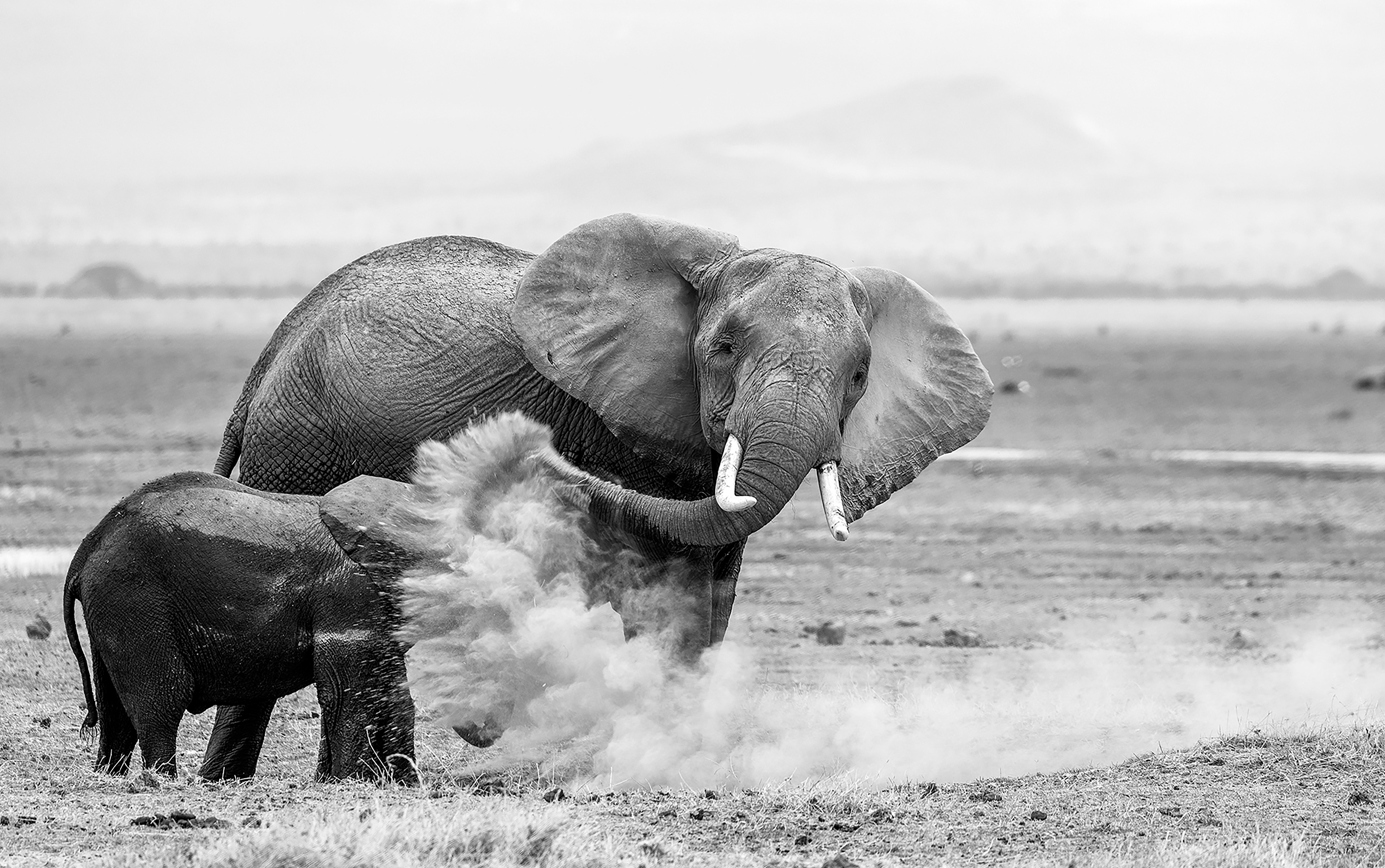 Lessons  - ©MomentsbyHeatherNicole