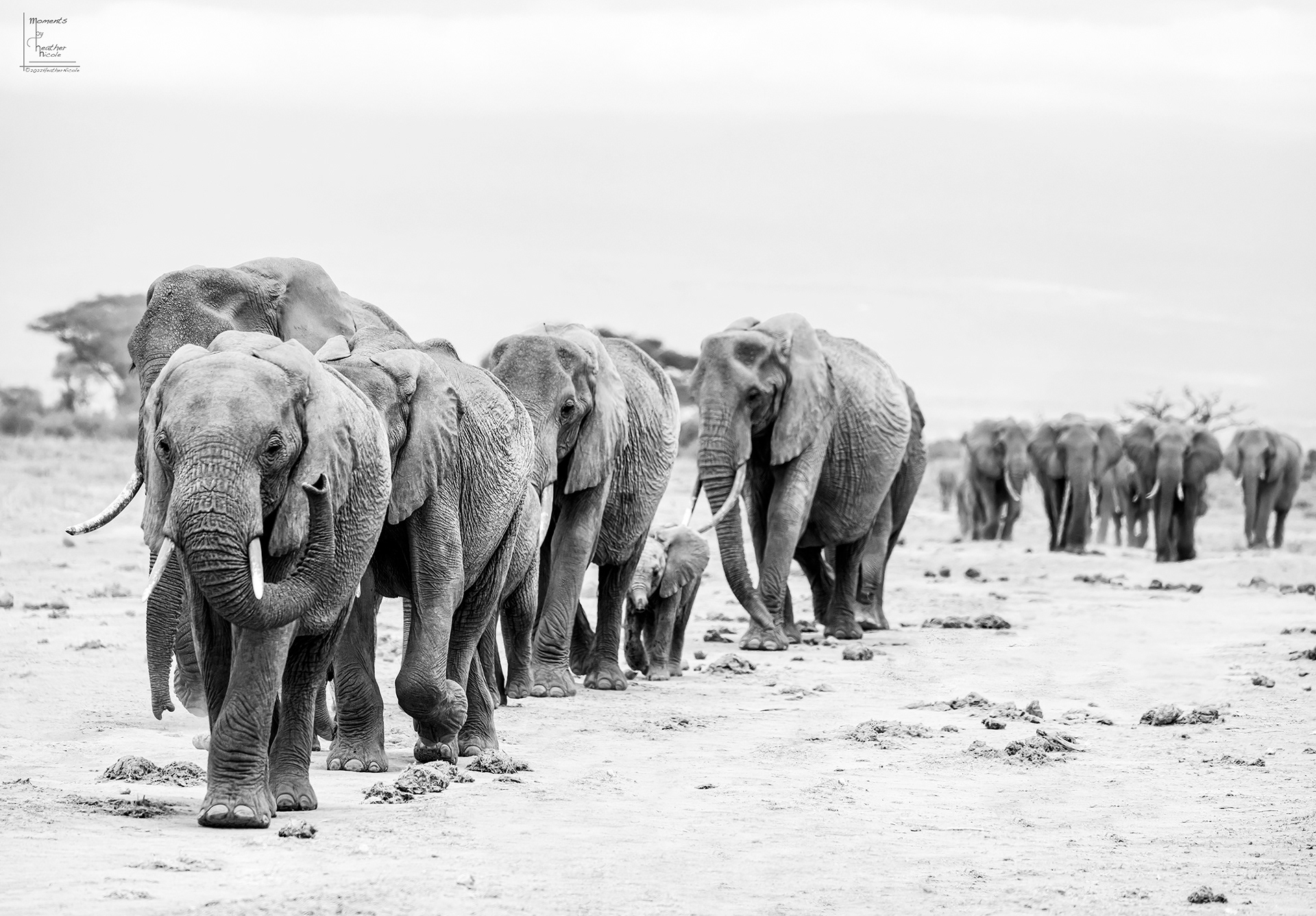 She Knows  - ©MomentsbyHeatherNicole