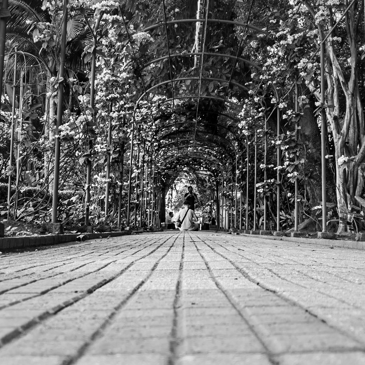 Prefeito Mario Covas Park, Av Paulista