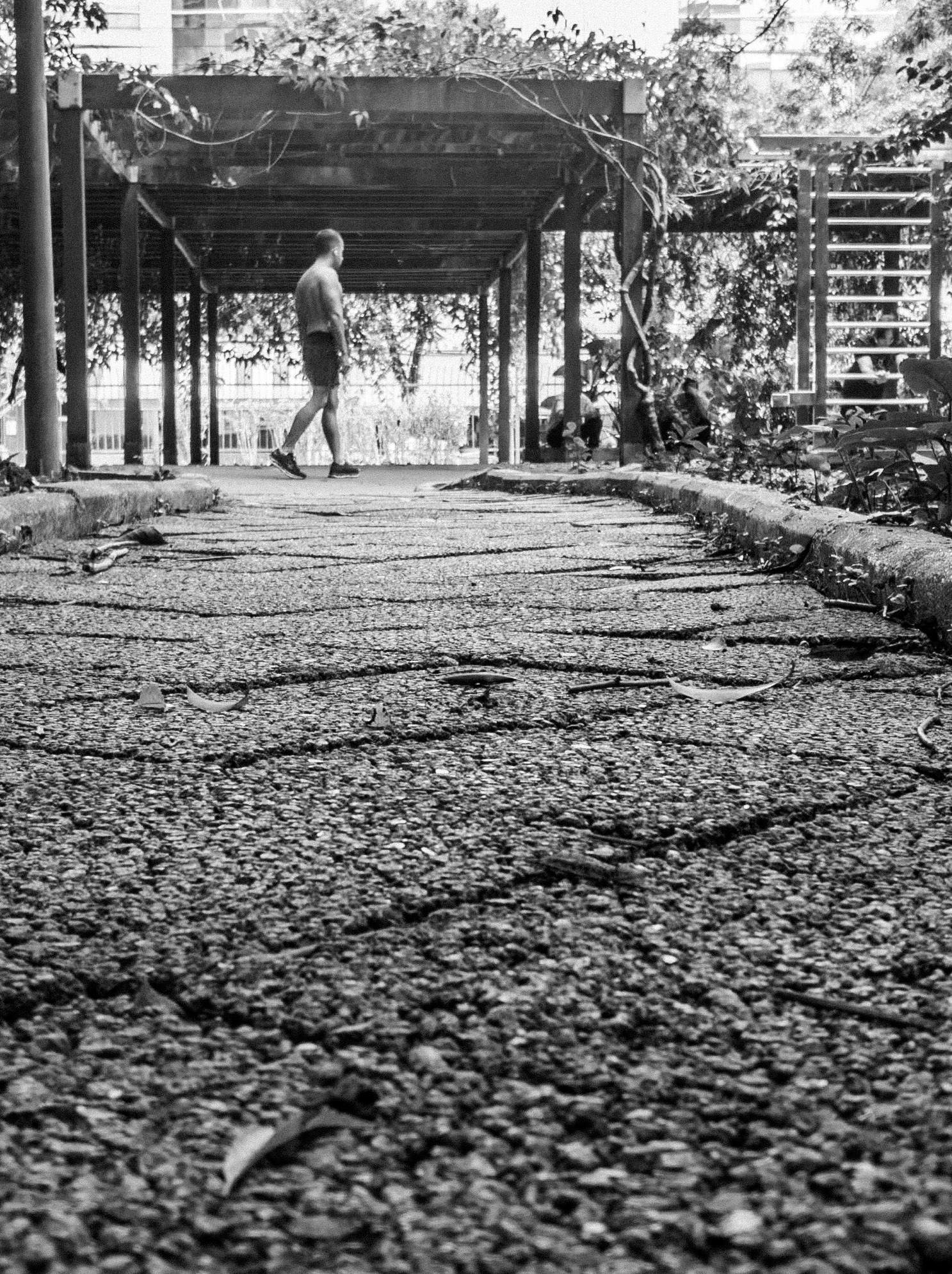 Prefeito Mario Covas Park, Av Paulista