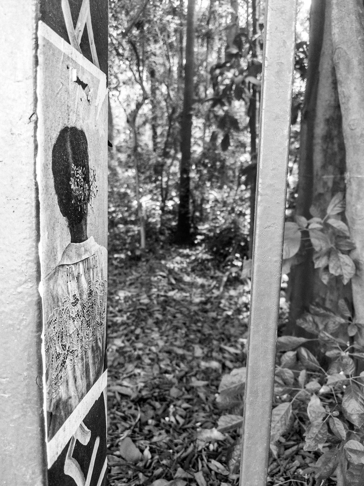 Trianon Park, Av Paulista