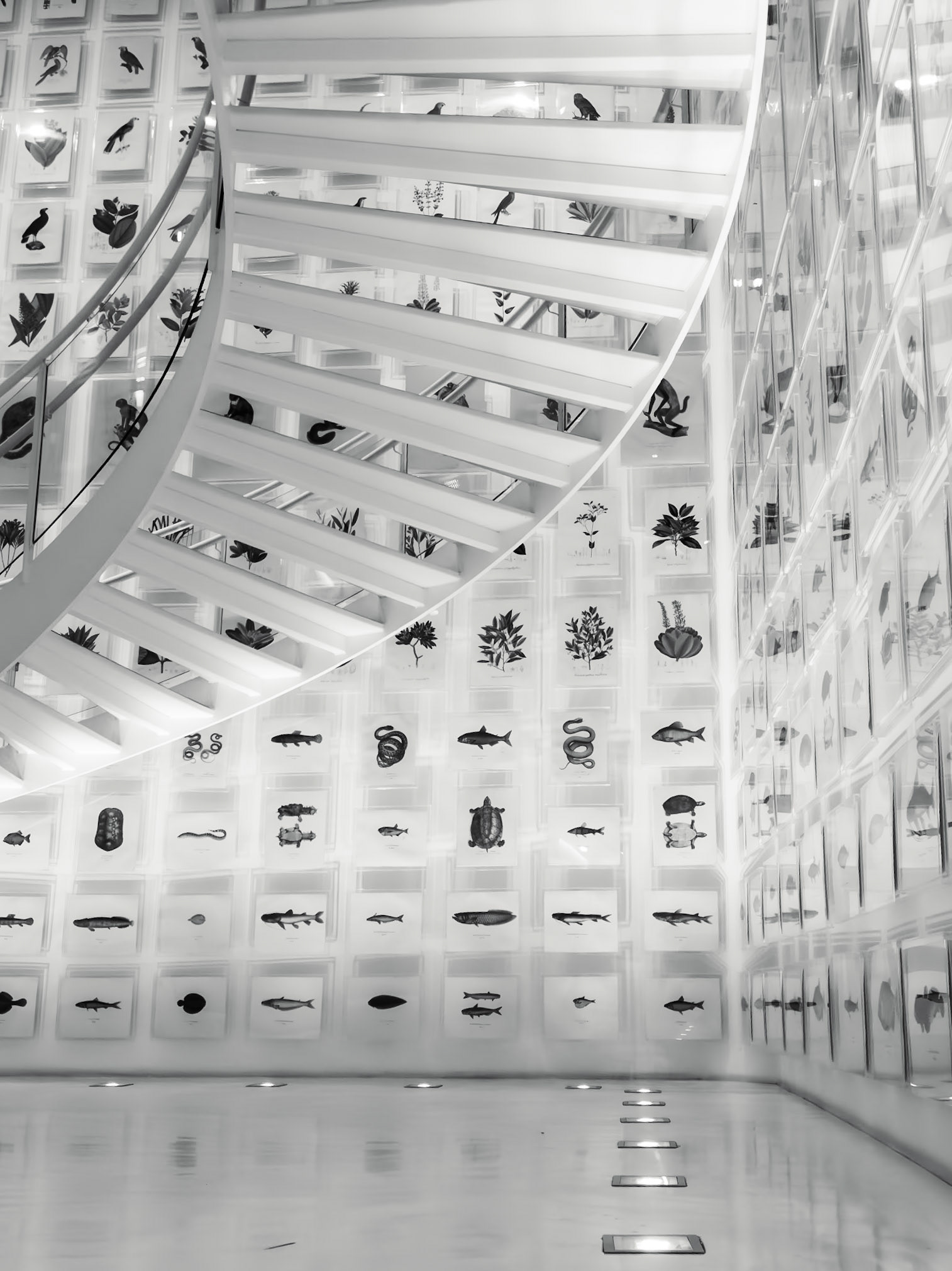 Itaú Cultural Institute, Av Paulista