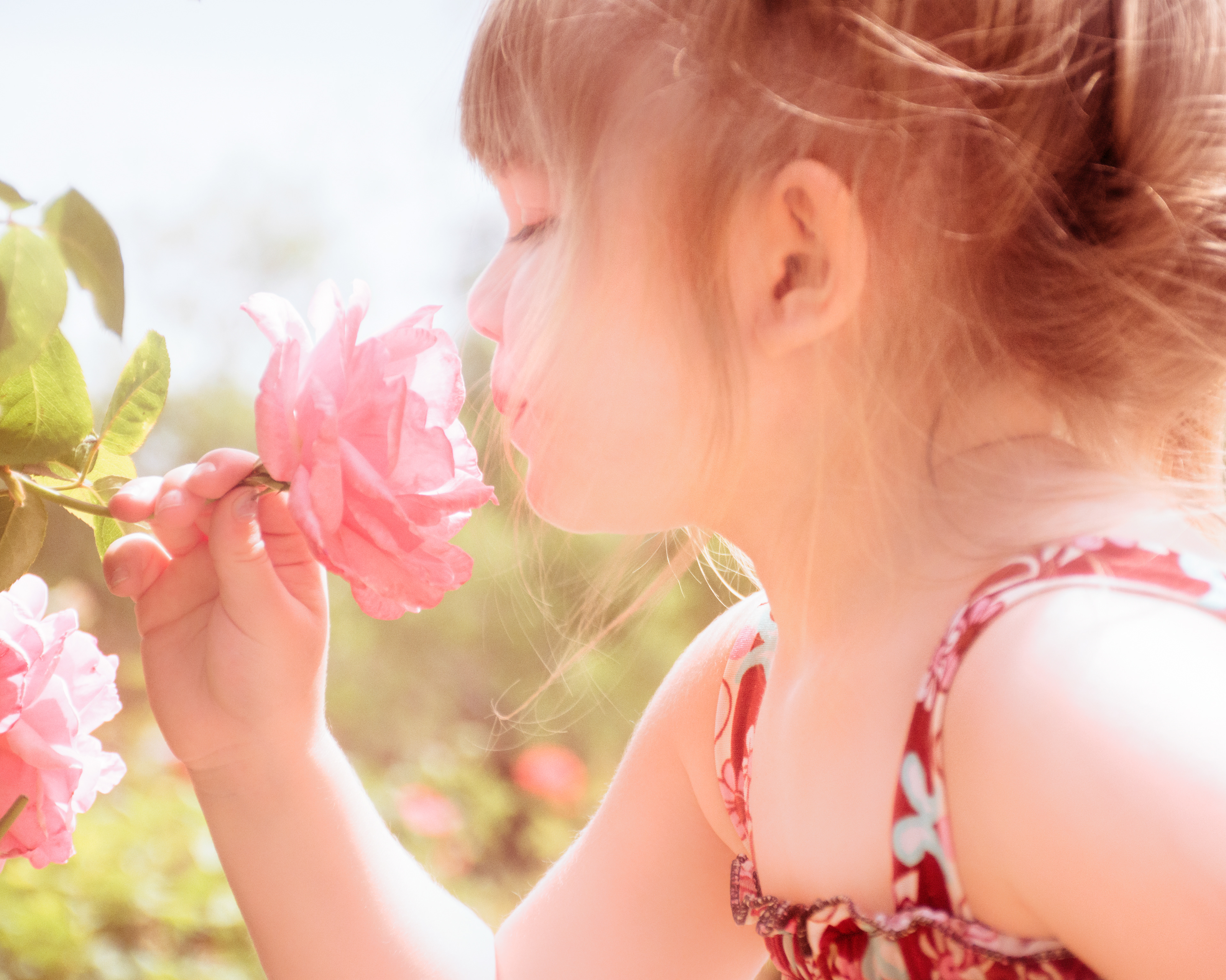 Smell the Roses
