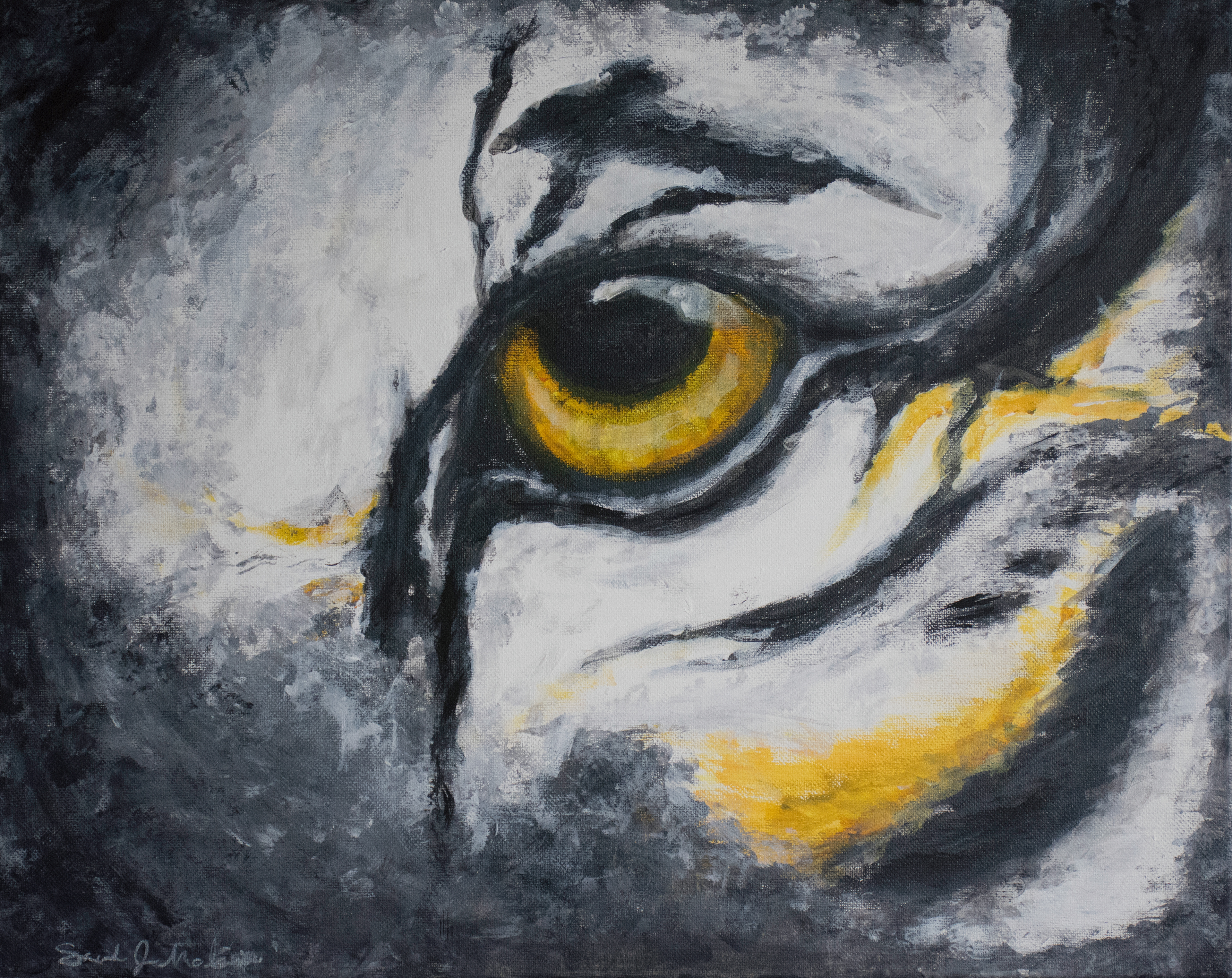 Tiger Eye