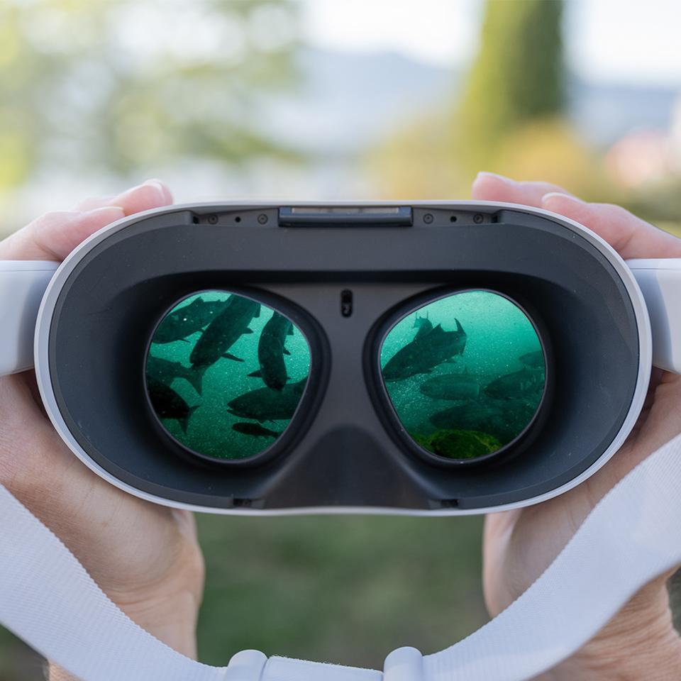 Branded campaign for Canada Wild's touring VR showcase of Uninterrupted, an incredible projected film experience about the salmon lifecycle and its impact on our lives.