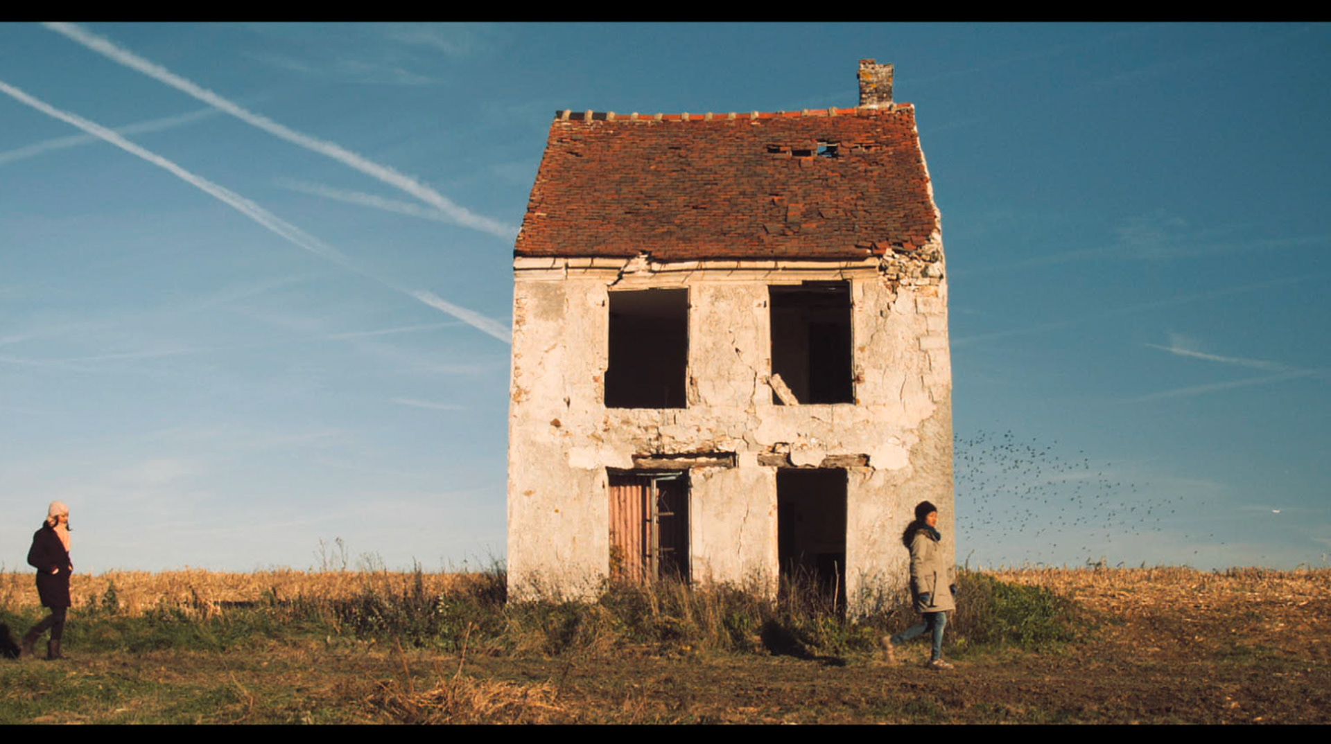 Dipali - Clementine Isaac