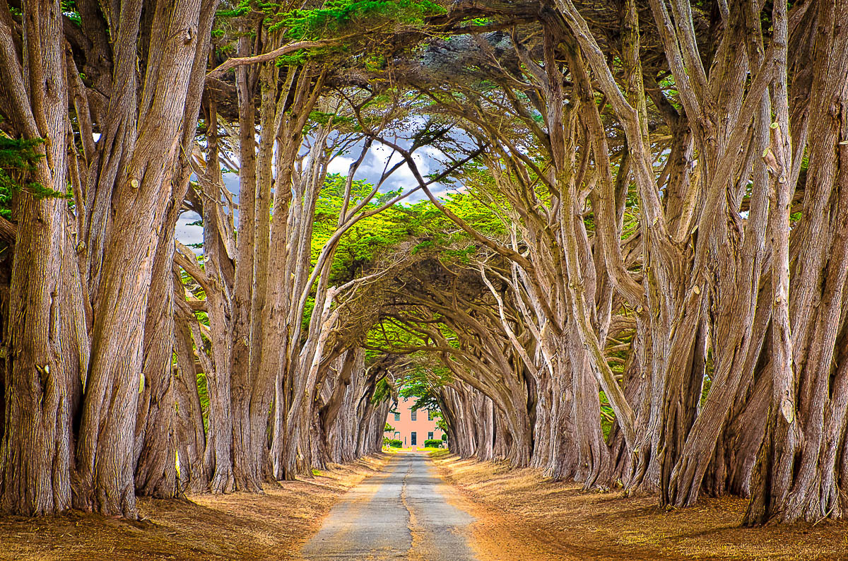 Point Reyes, California