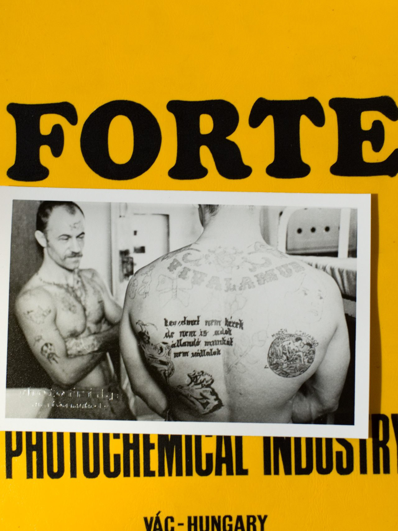 photo origin: fortepan/Urbán Tamás