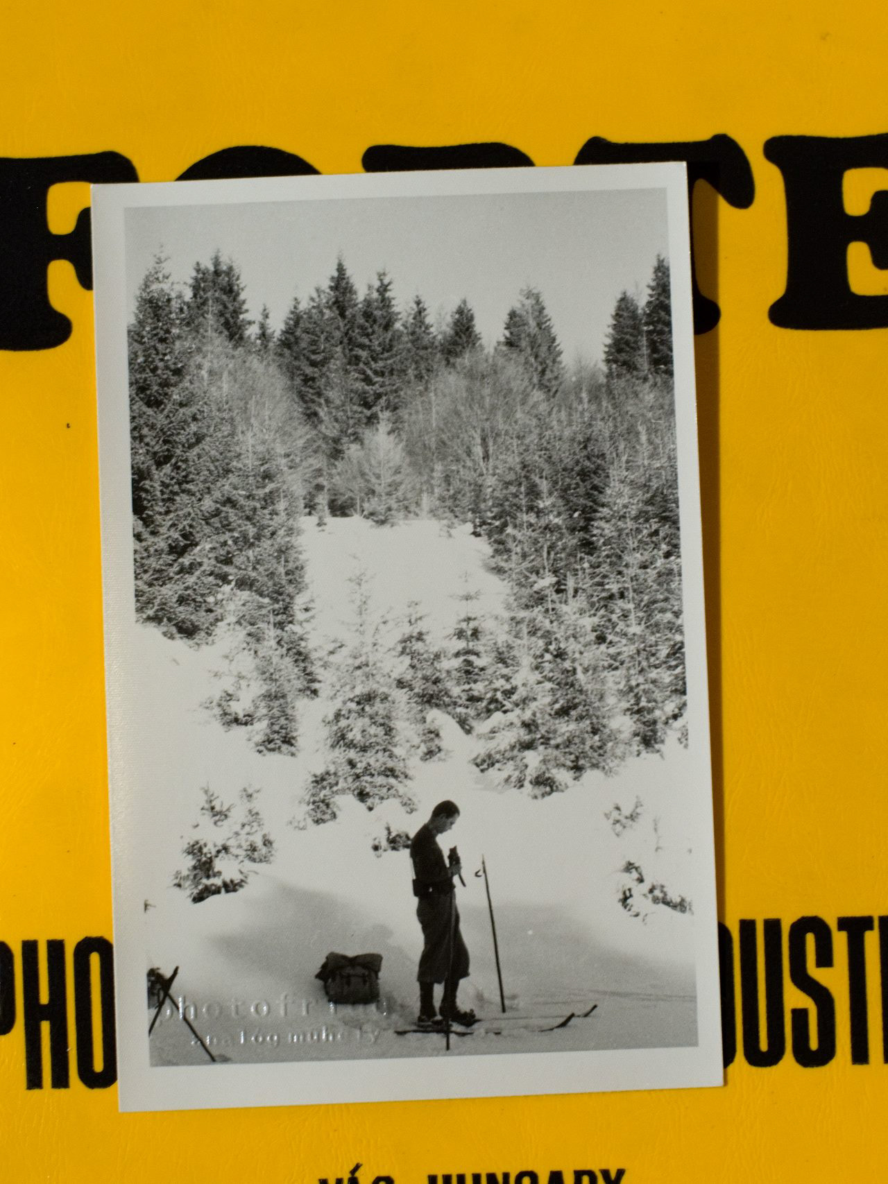 photo origin: photofridge