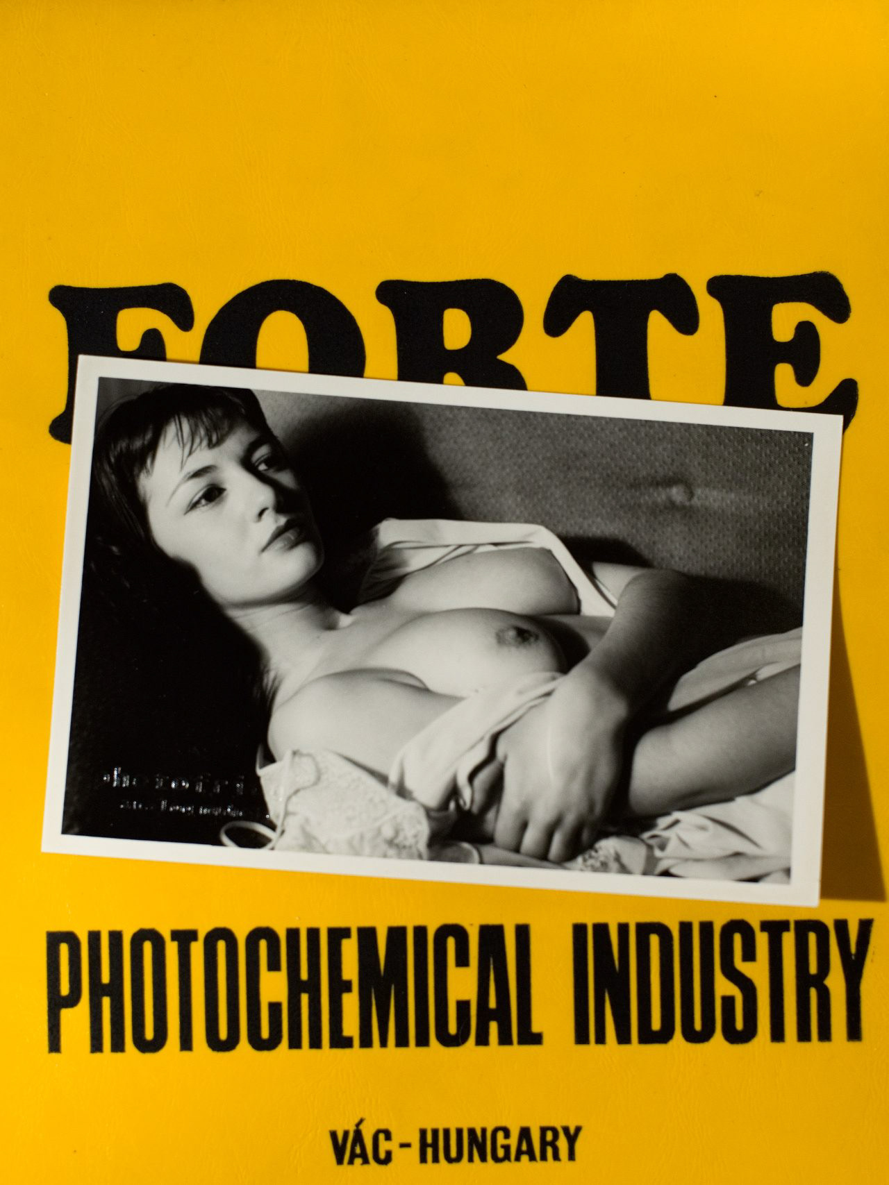 photo origin: photofridge