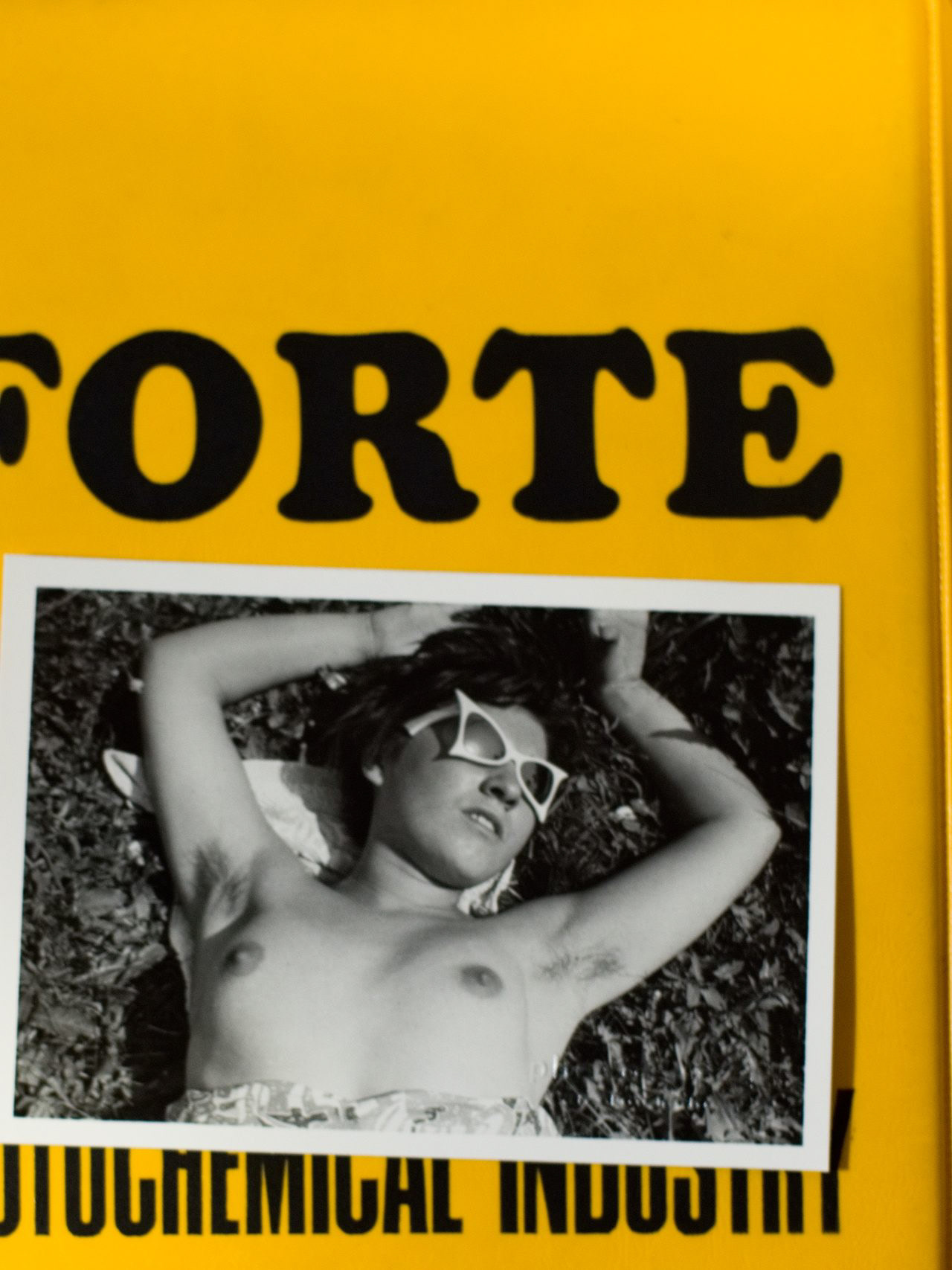 photo origin: photofridge