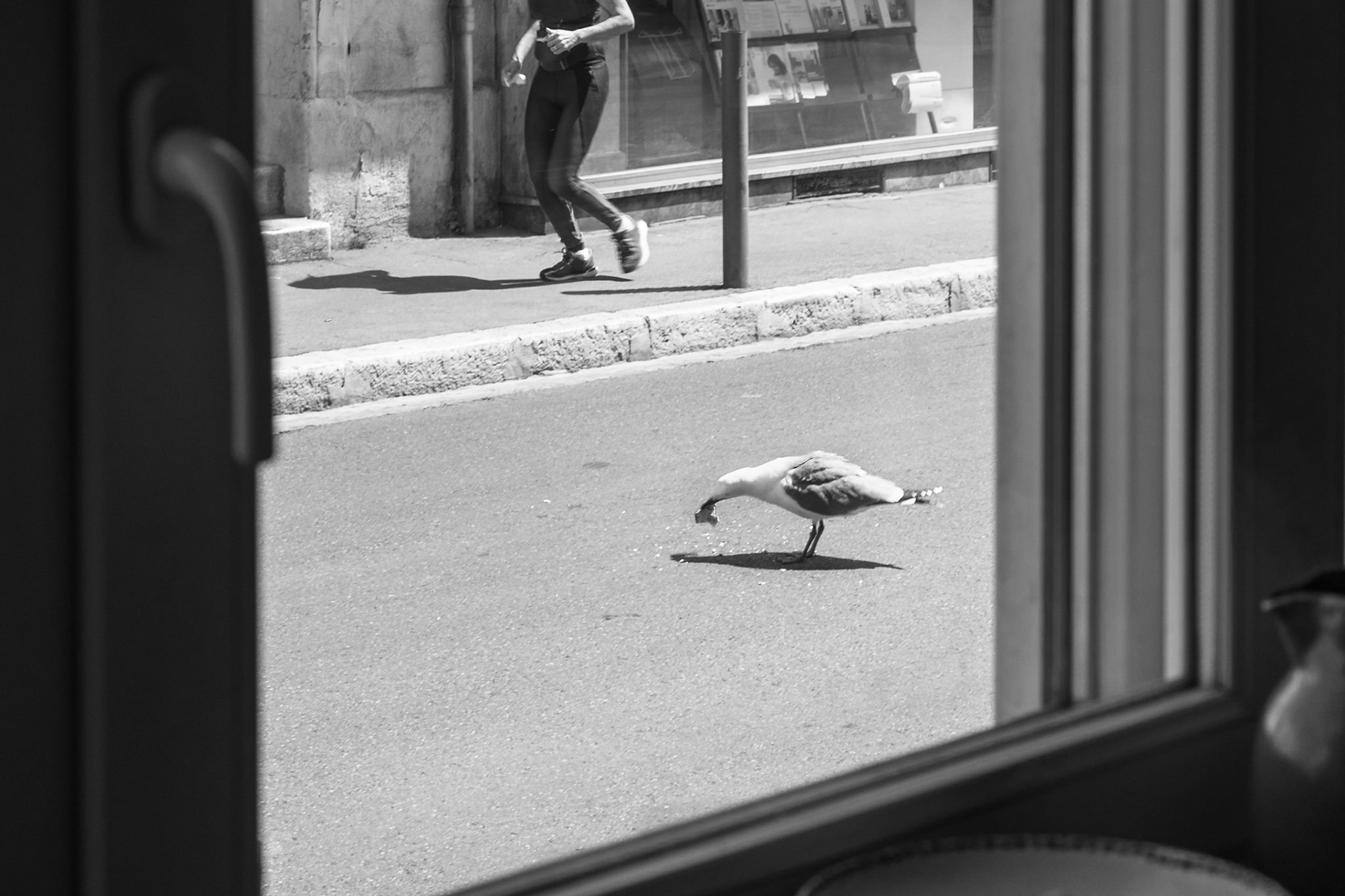 De ma fenetre vue sur rue pendant le confinement