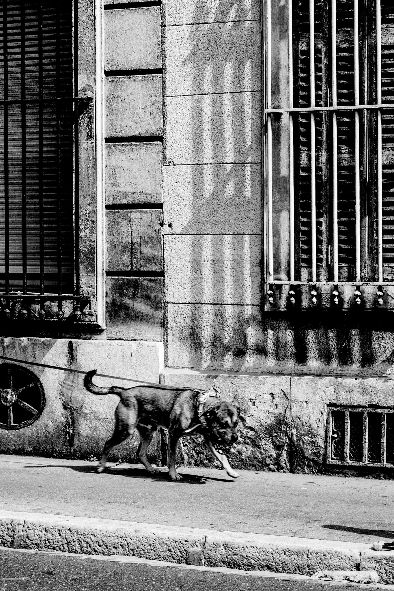 De ma fenetre vue sur rue pendant le confinement