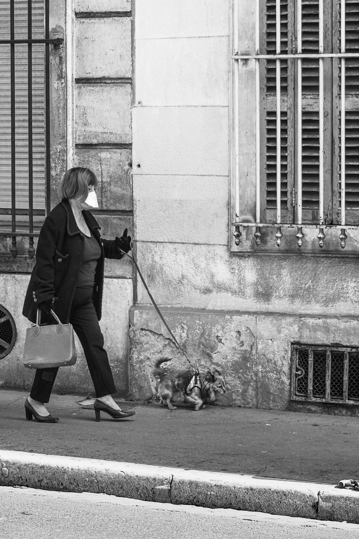 De ma fenetre vue sur rue pendant le confinement