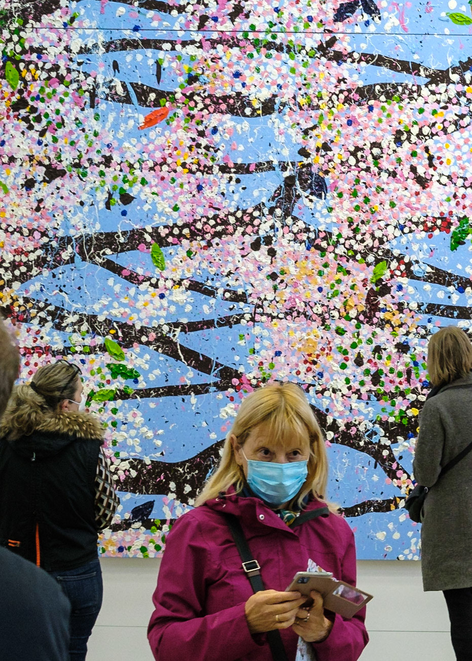 Damien Hirst : Fondation Cartier