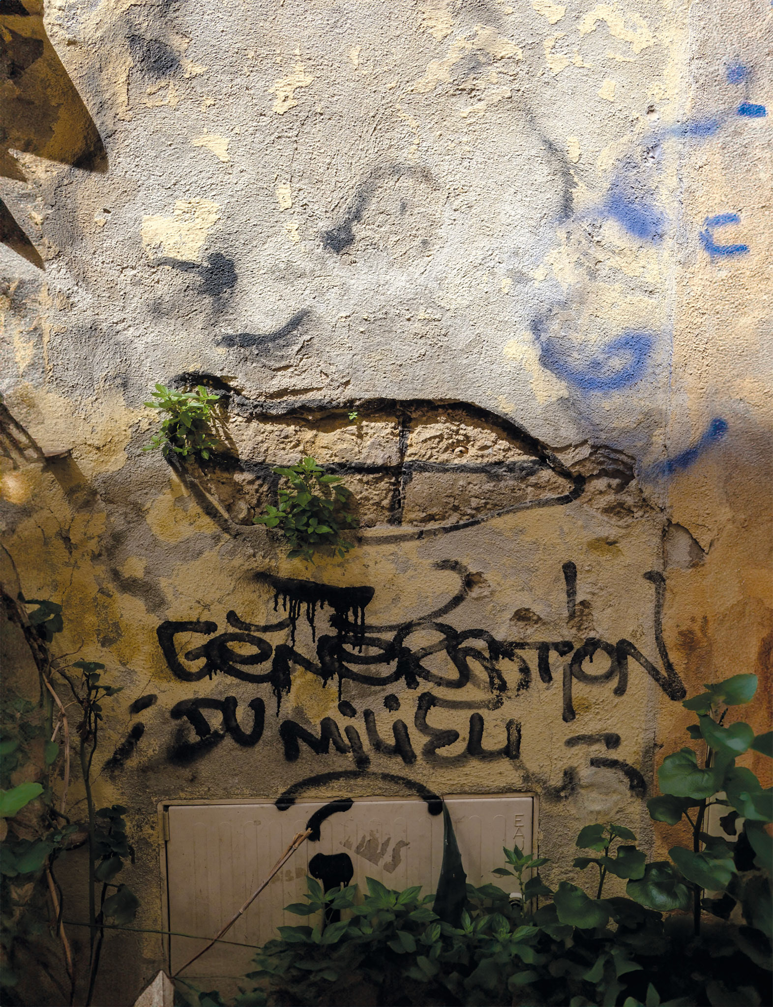 Rue du Petit Puits, Le Panier