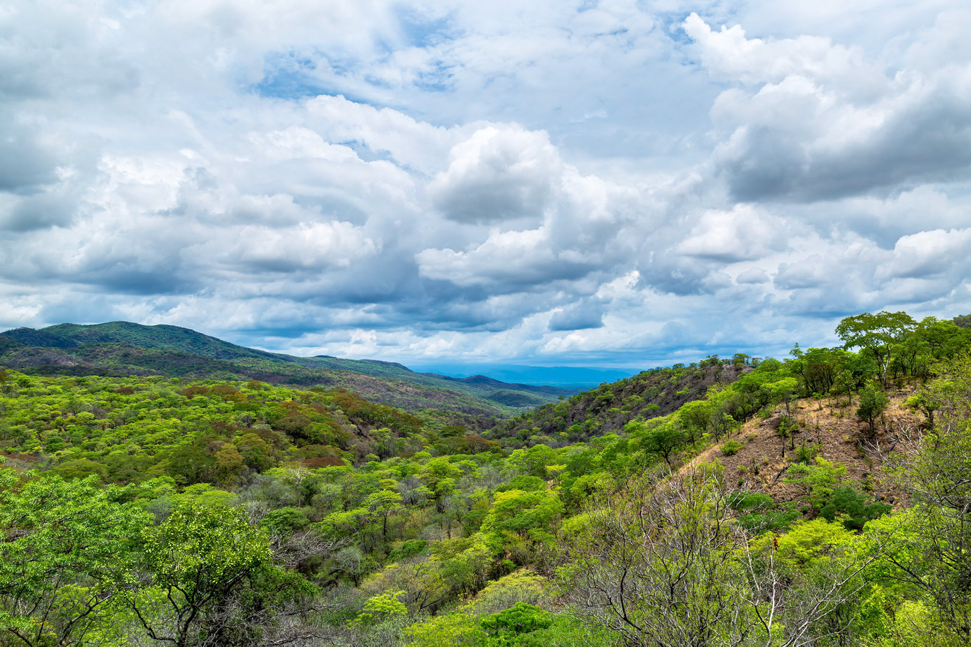 Lower Zambezi Valley, Zambia