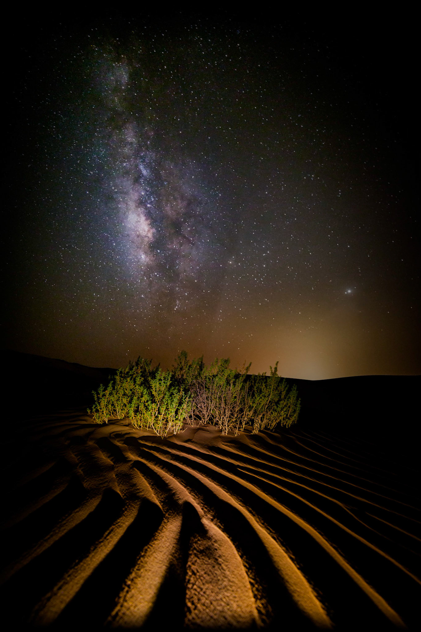 Dunes To The Stars
