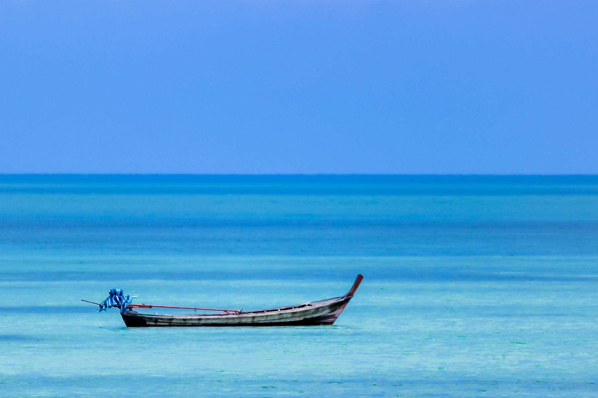 Lonely Longtail