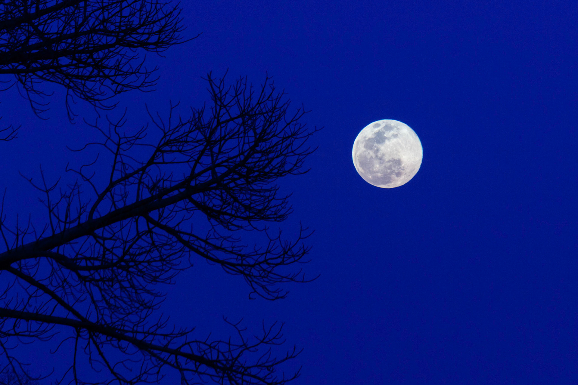 Rise of the Super Moon | Lower Zambezi National Park, Zambia