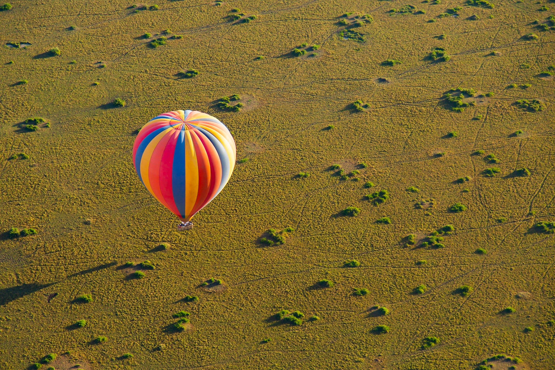 Masai Mara National Park, Kenya