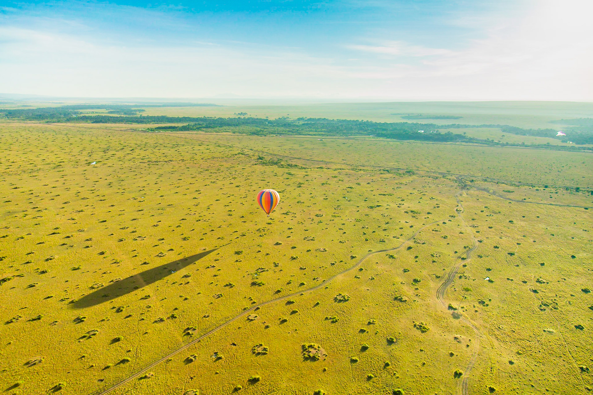 Masai Mara National Park, Kenya