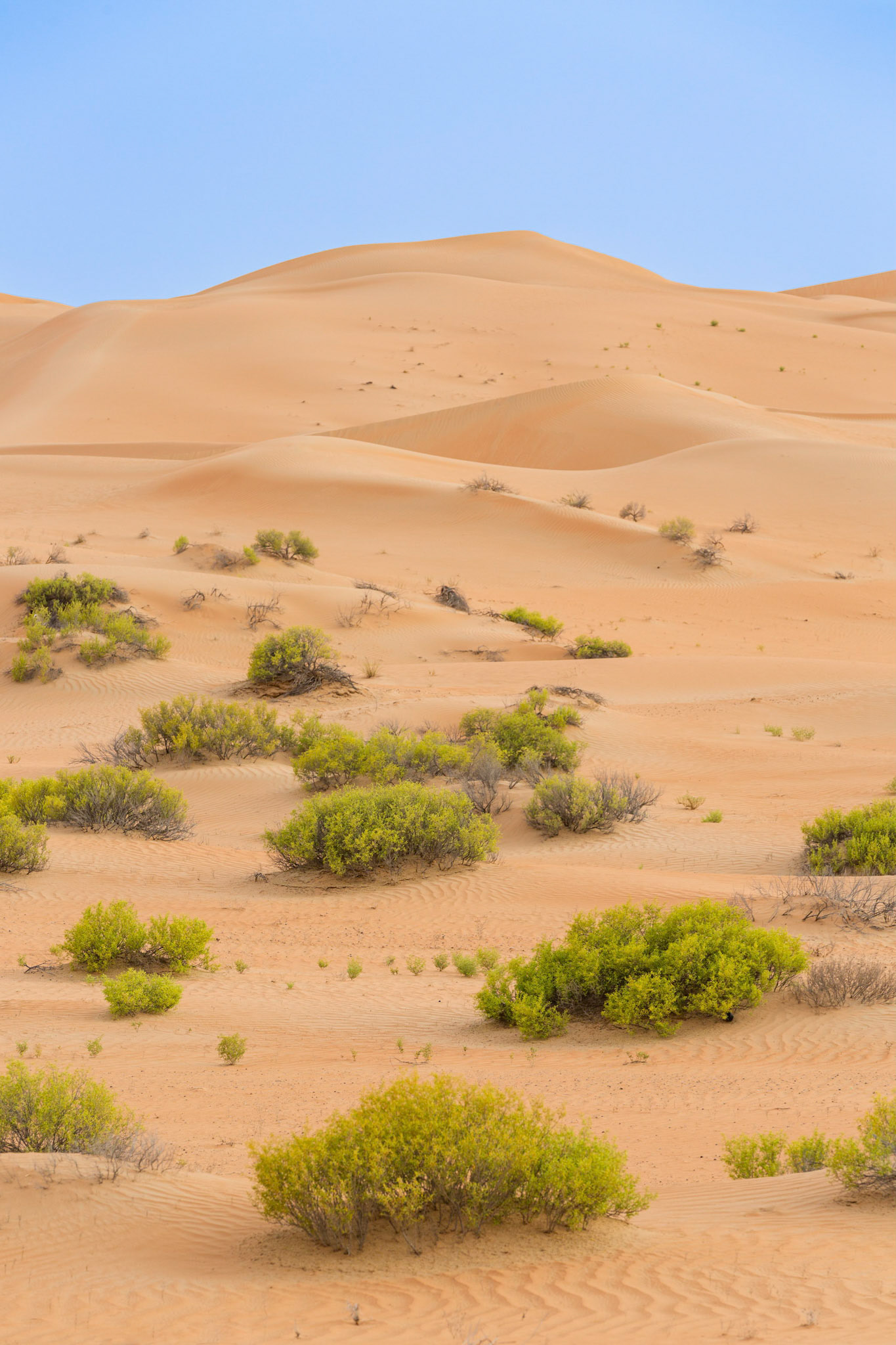Abu Dhabi, UAE