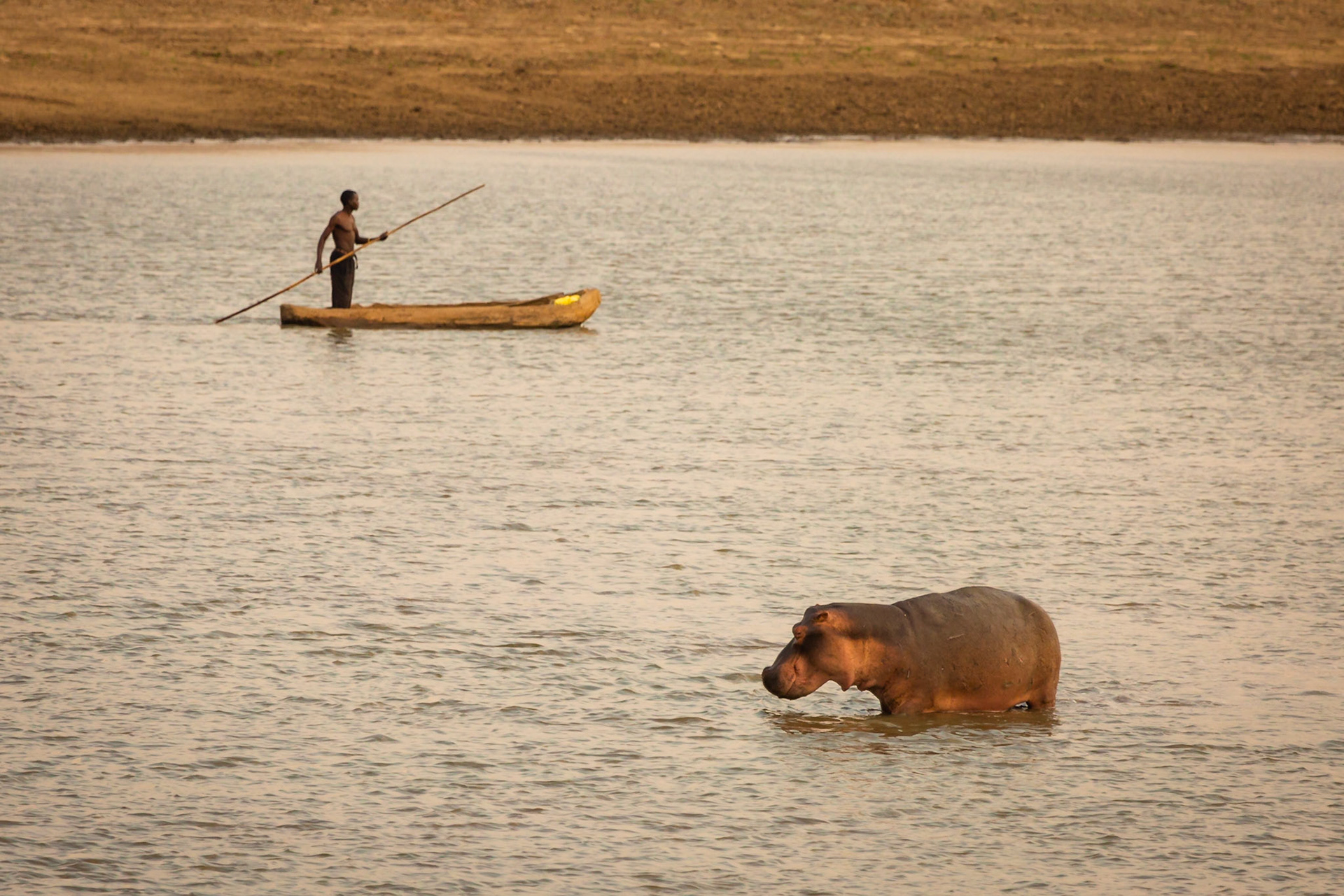 Life In The Luangwa Valley