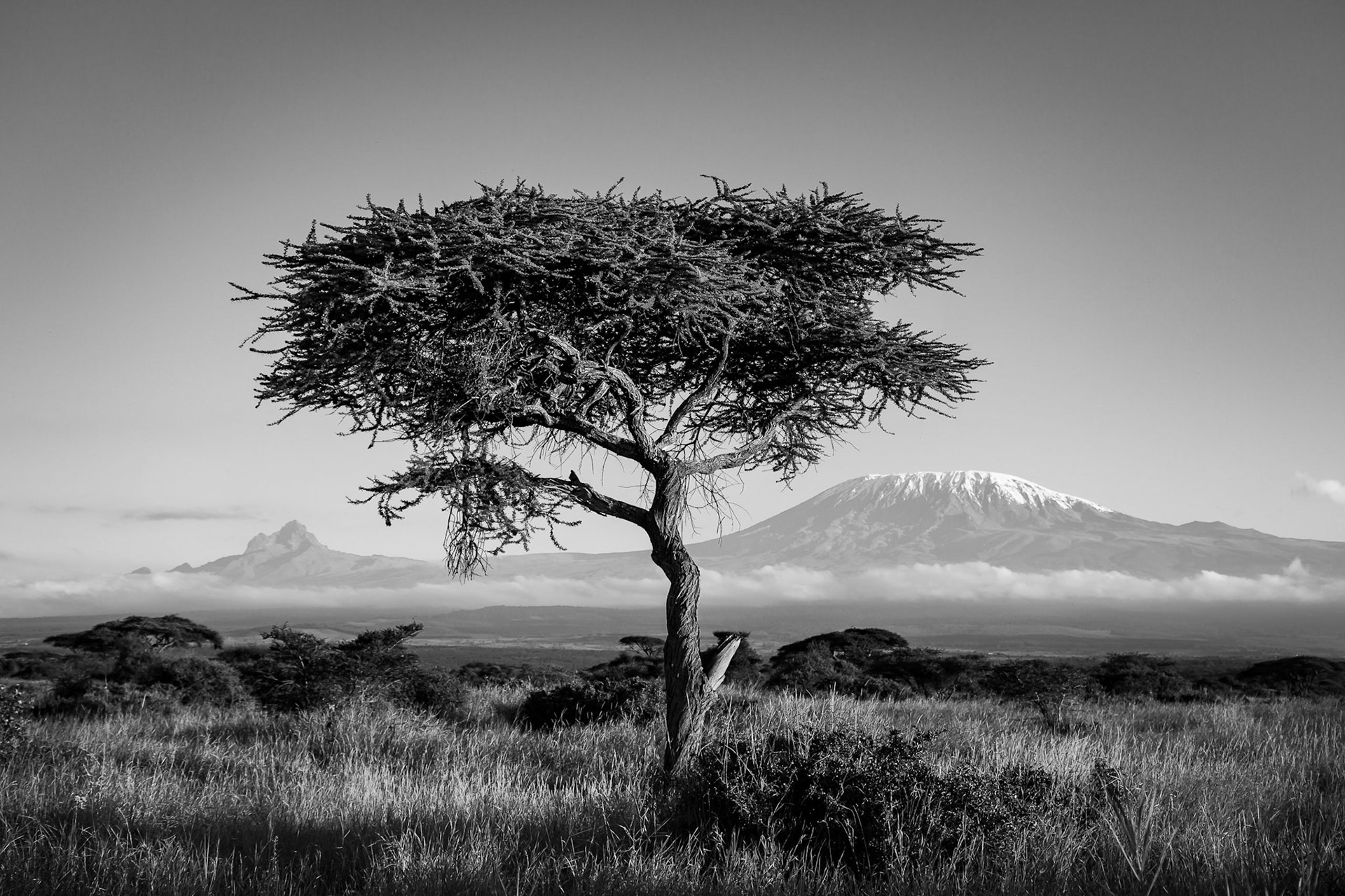 Amboseli National Park, Kenya