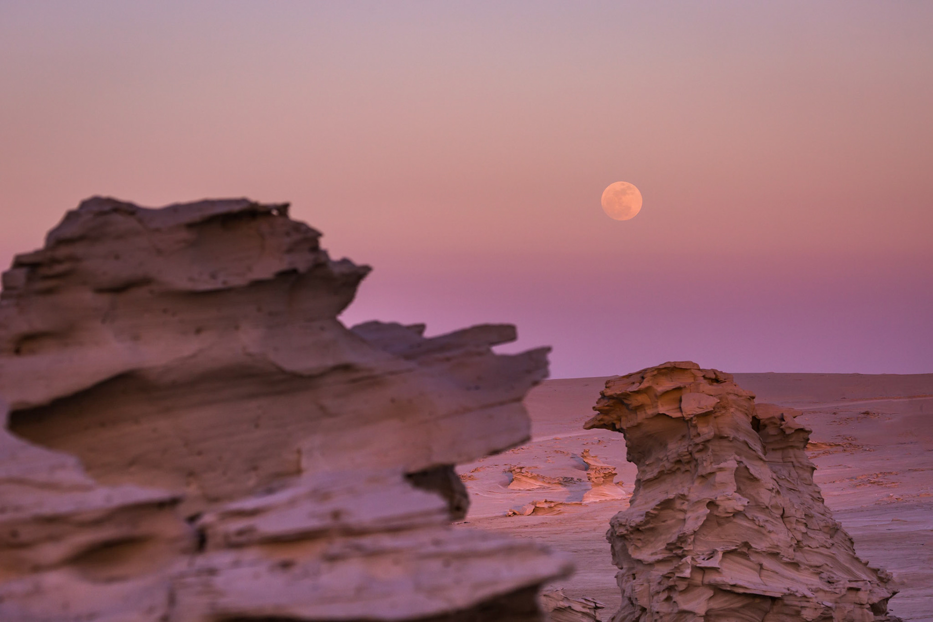 Fossil Dunes | Abu Dhabi, UAE