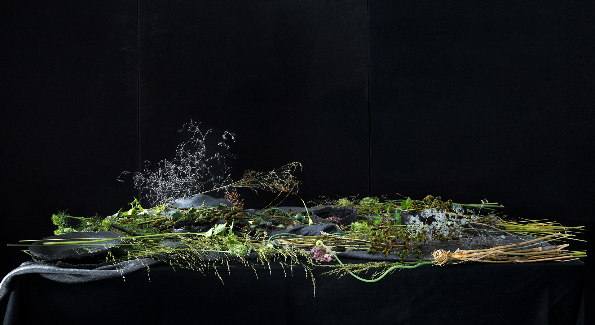 Photo Virginie Pérocheau photographe,nature morte,esprit picturale, clair obscur,table noir,fleur,Photo Virginie Pérocheau photographer, still life, pictorial spirit,chiaroscuro, black table, flower