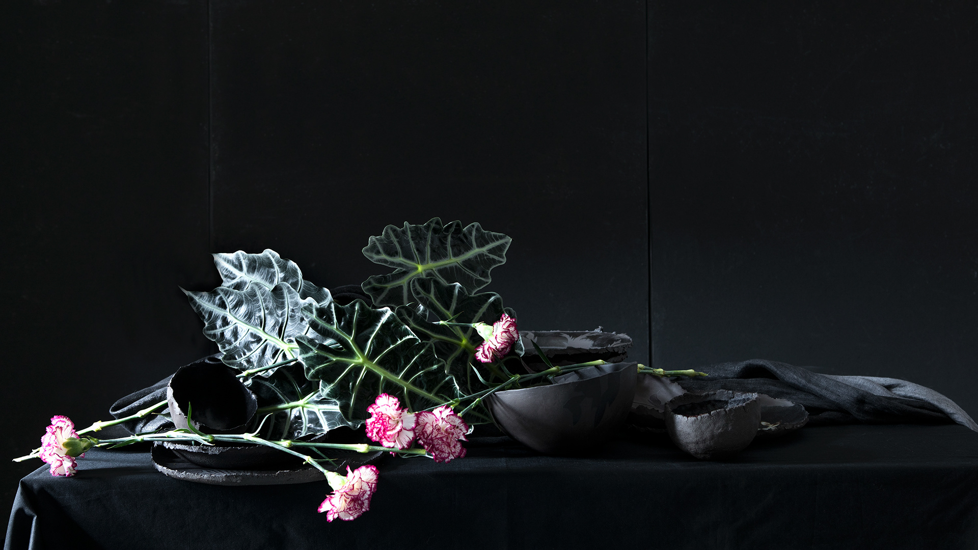 Photo Virginie Pérocheau photographe,nature morte,esprit picturale, clair obscur,table noir,plante verte,fleure,Photo Virginie Pérocheau photographer, still life, pictorial spirit,chiaroscuro, black table,green plant, flower