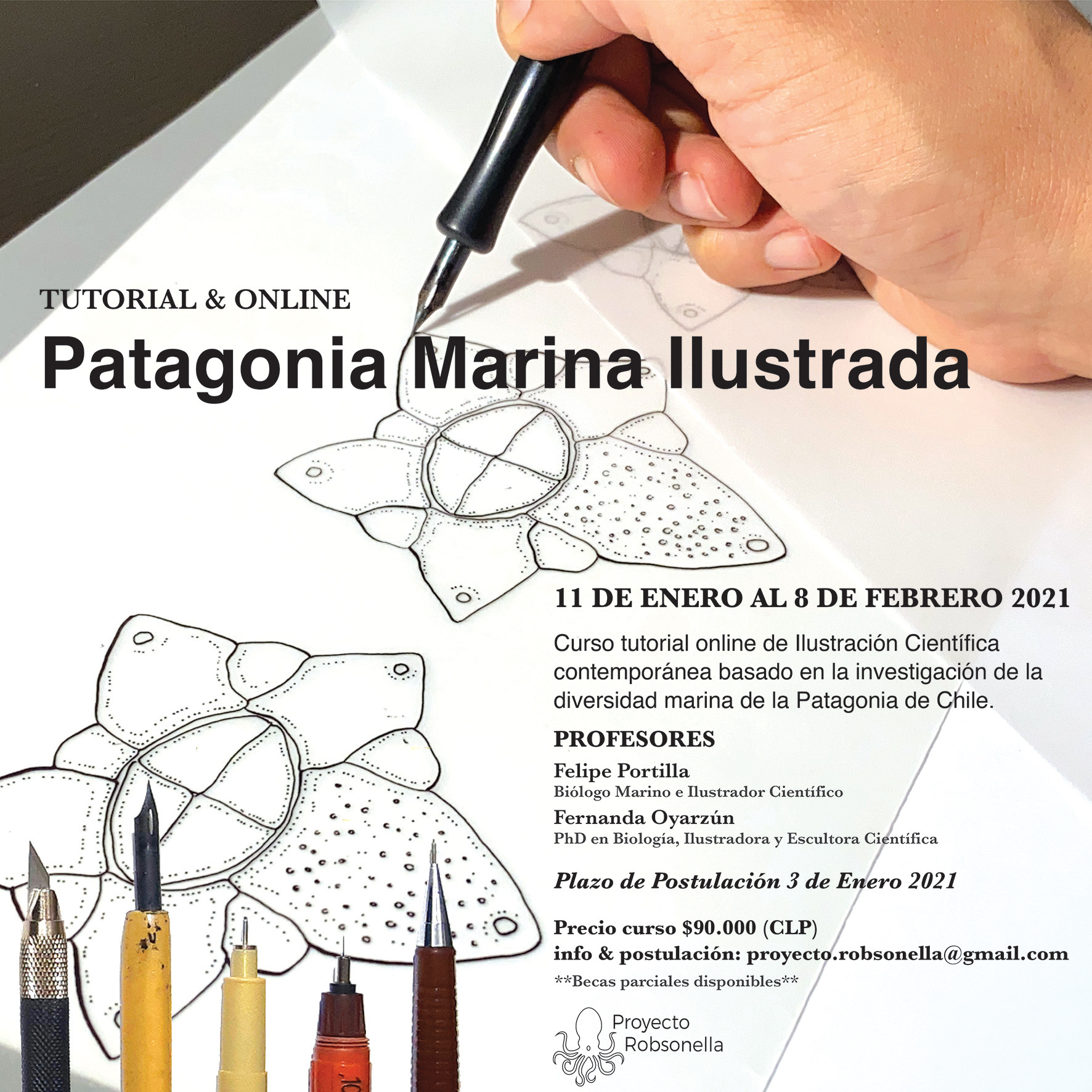Patagonia Marina Ilustrada 2021