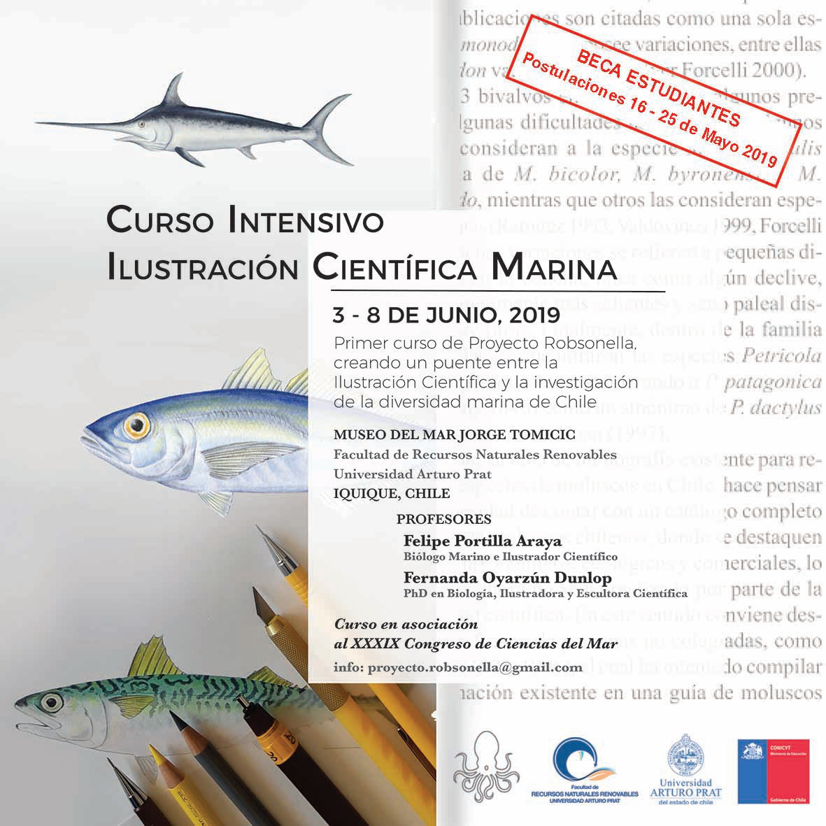 Ilustración Científica Marina 2019, Iquique