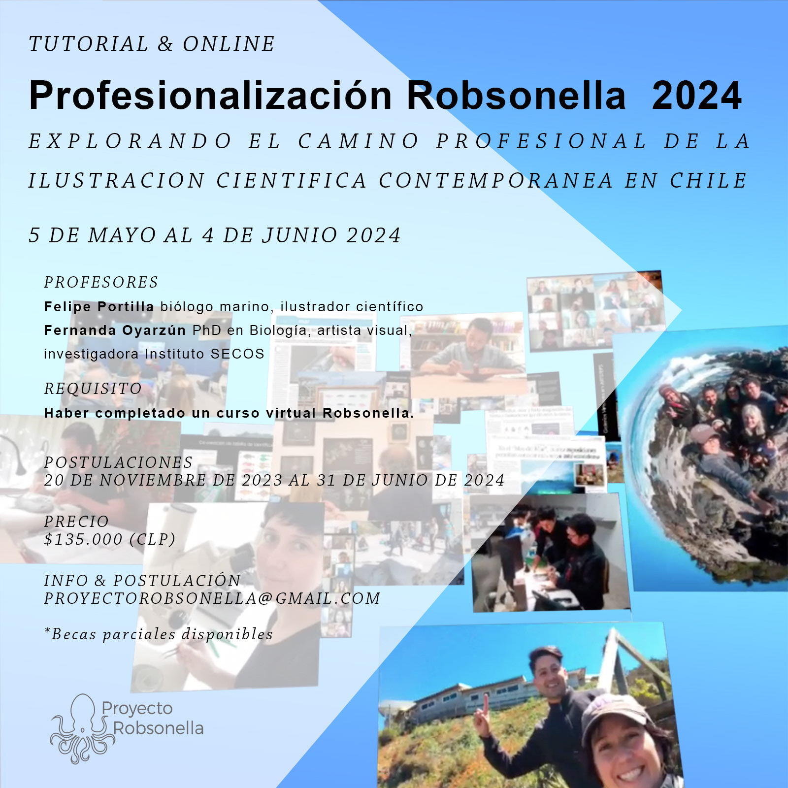 Profesionalización Robsonella 2024, del 5 de mayo al 4 de junio de 2024