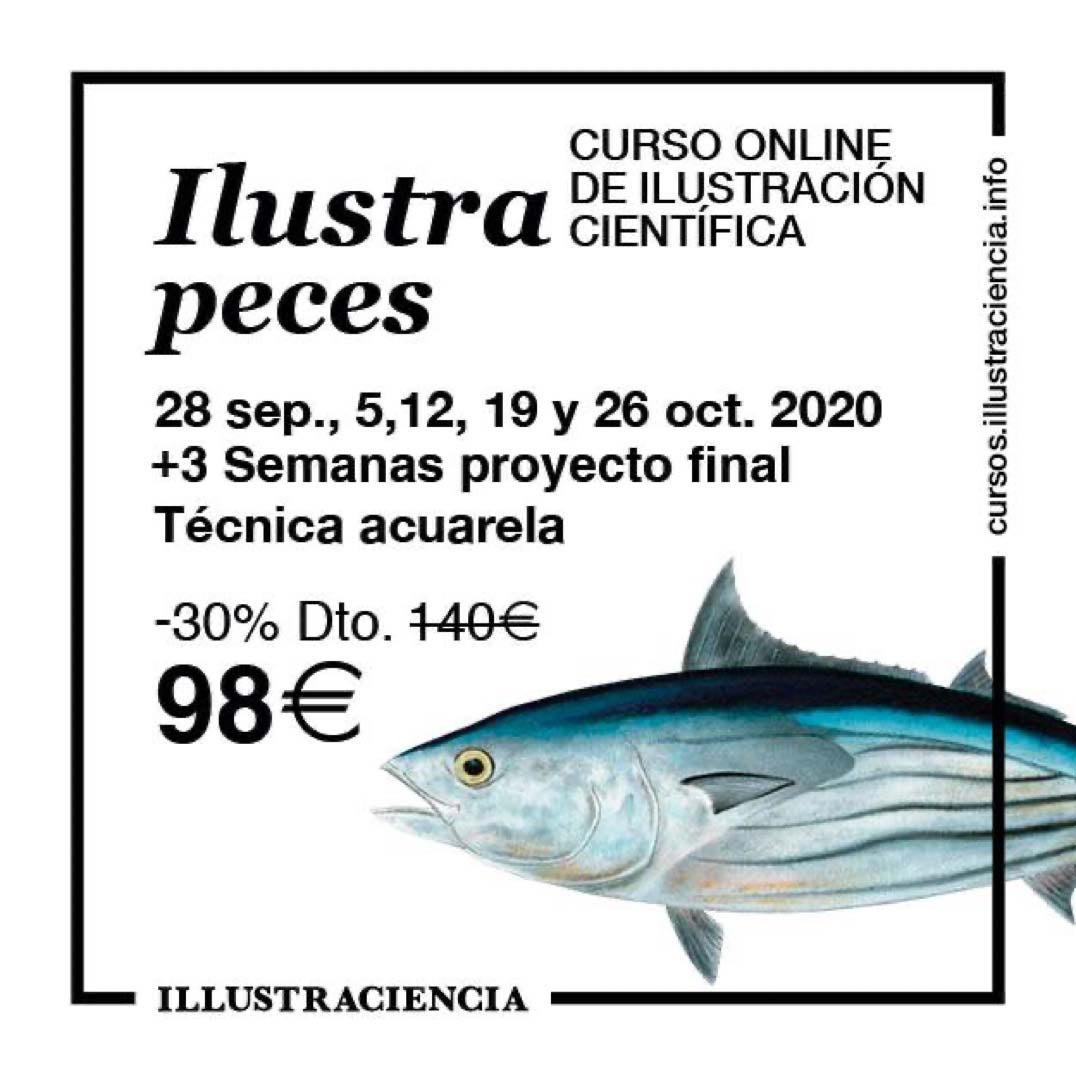 Ilustra Peces 2a edición, 2020