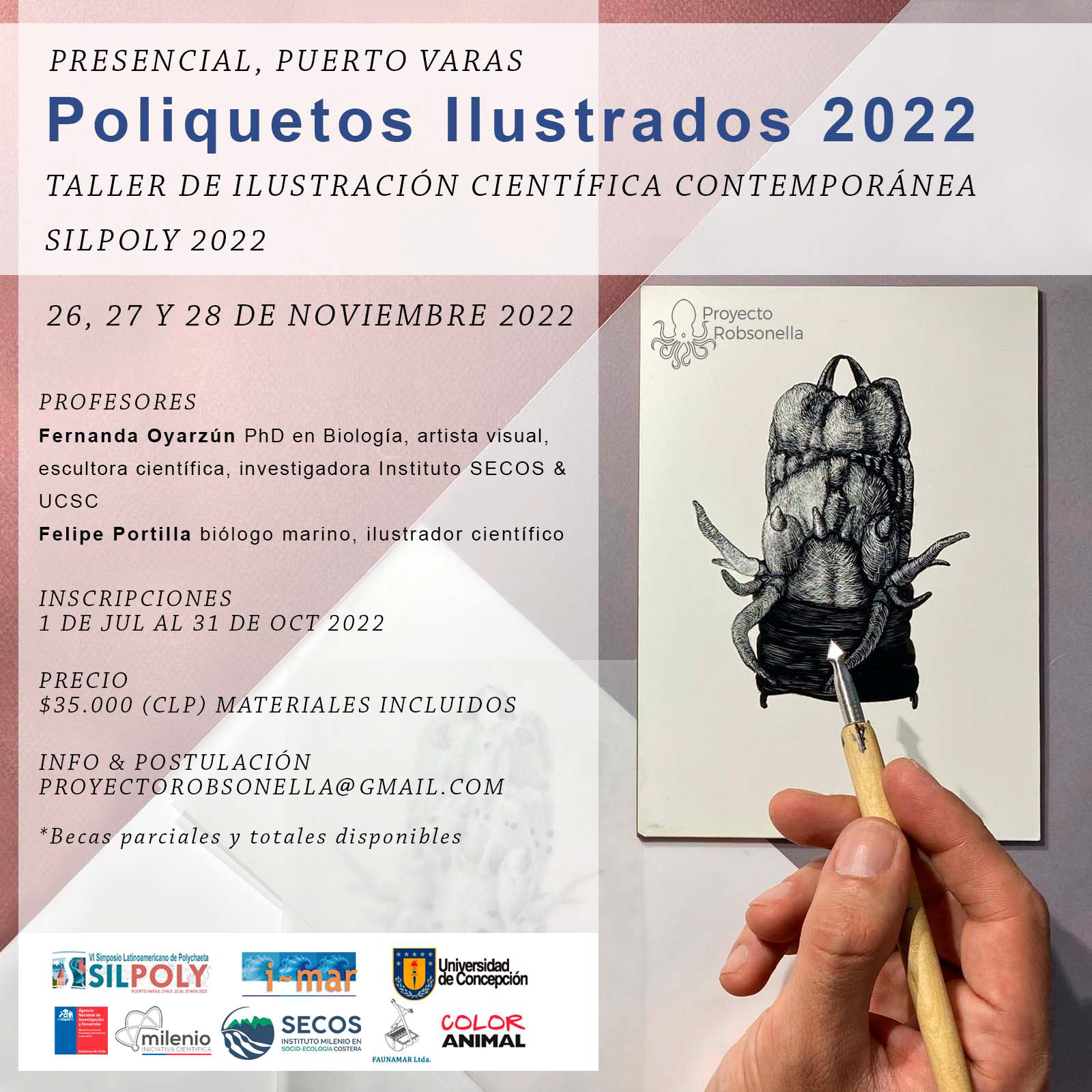 Poliquetos ilustrados 2022, Puerto Montt