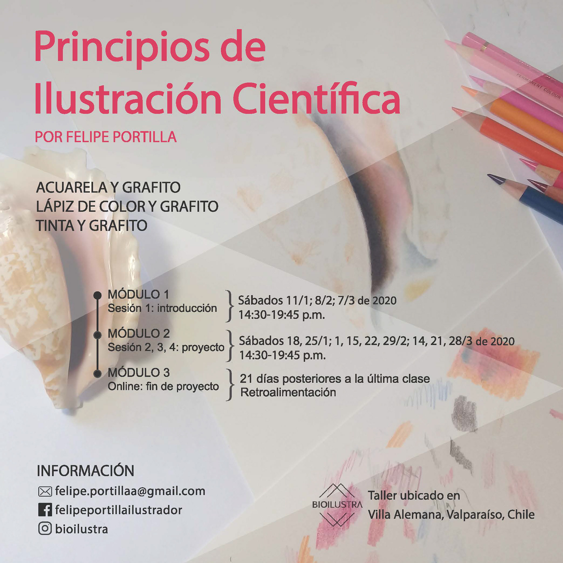 Bioilustra 2020, V. Alemana