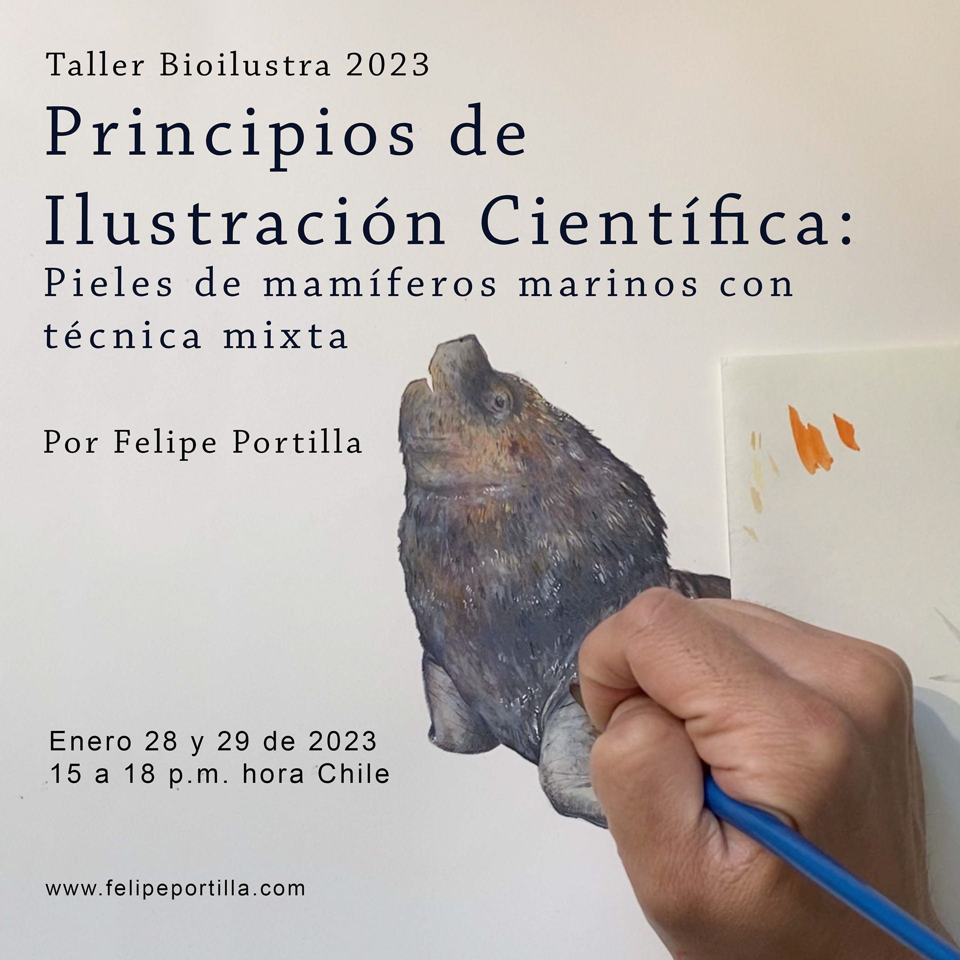 Principios de Ilustración Científica enero de 2023