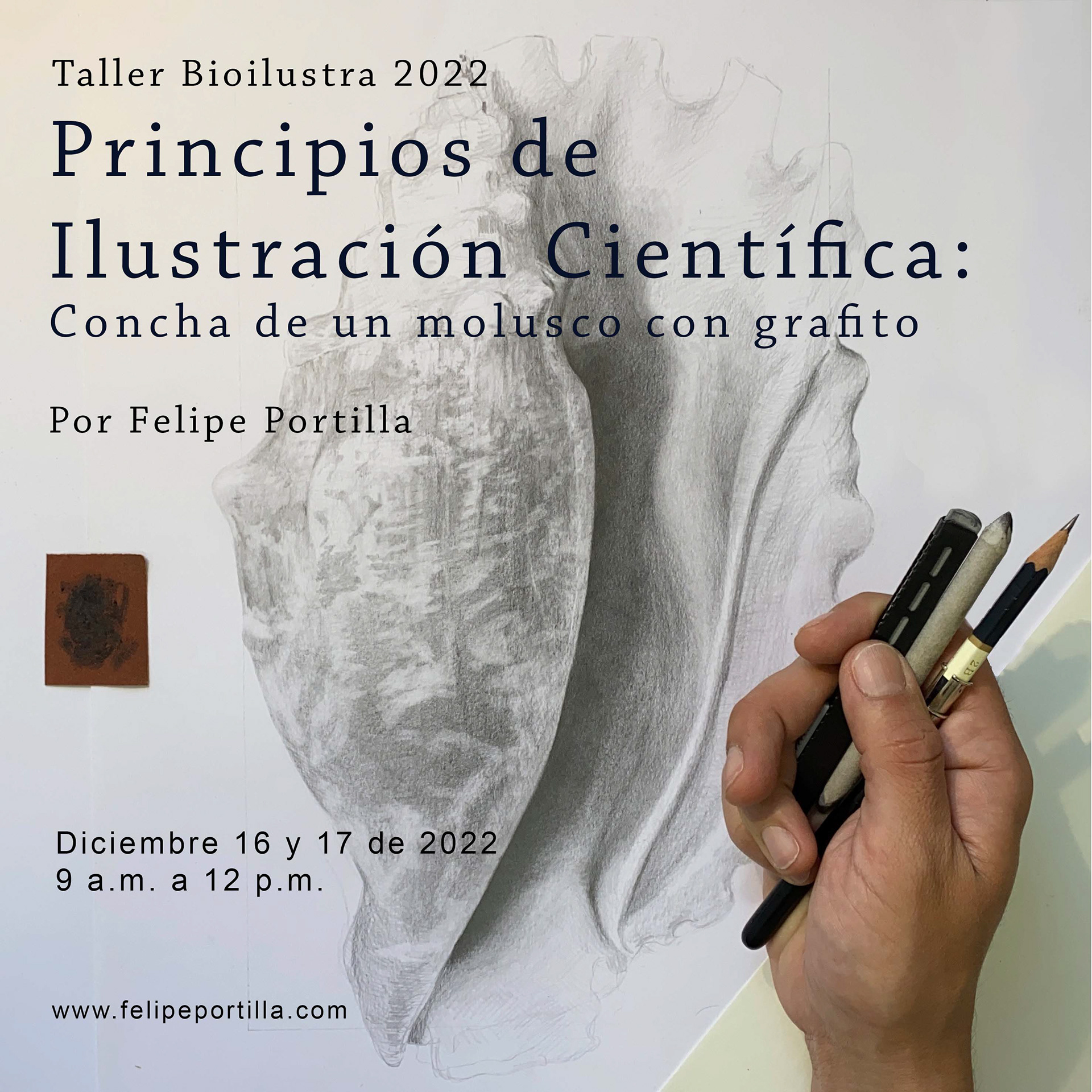 Principios de Ilustración Científica diciembre de 2022