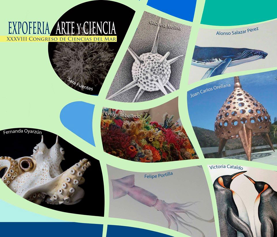 Expoferia Arte y Ciencia 2018, Valdivia