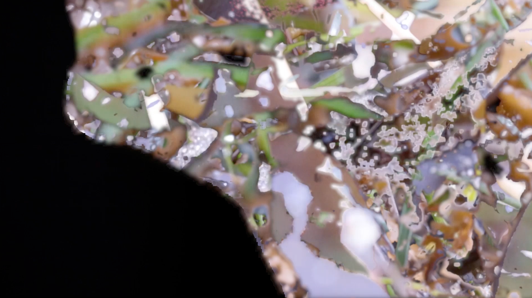 charybdis II animation/ installation 2020