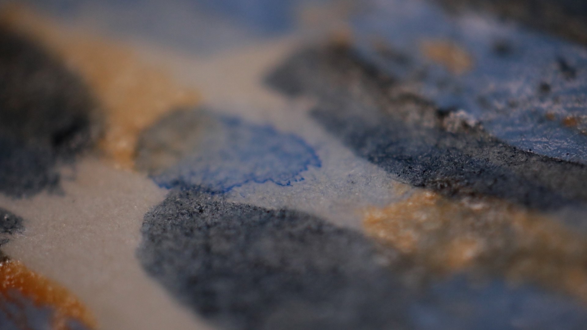 tiny waves (still) 2024-25