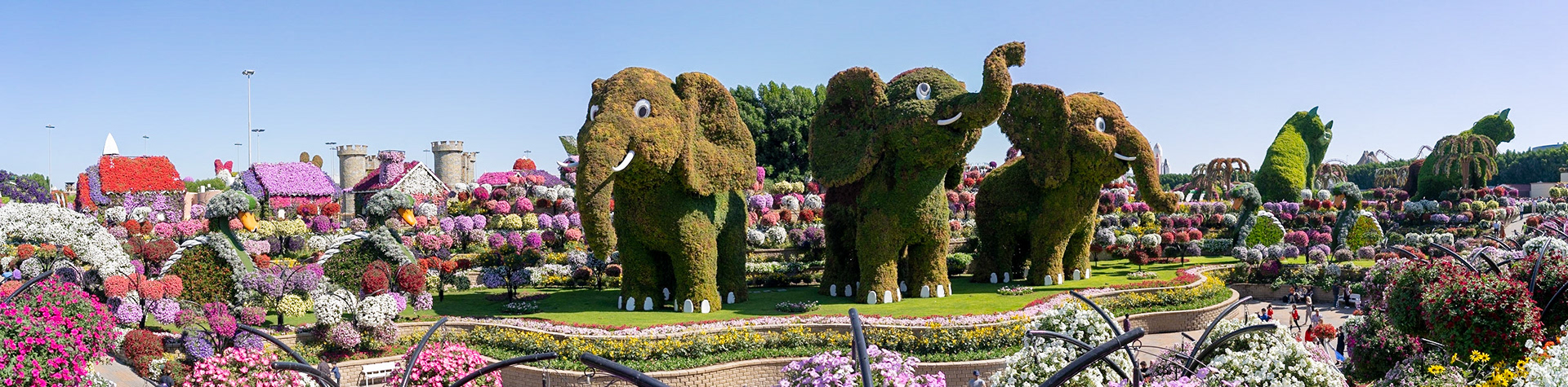 Miracle Garden