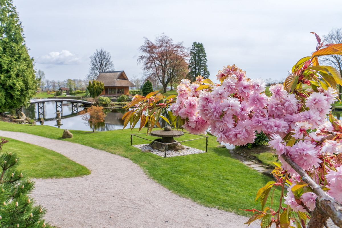 The Japanese Garden at Cowden, Scotland