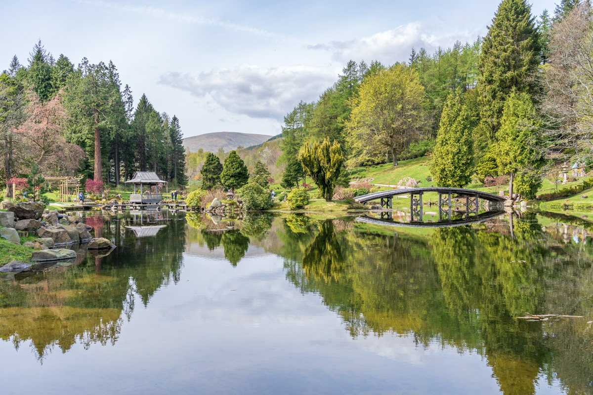 The Japanese Garden at Cowden, Scotland
