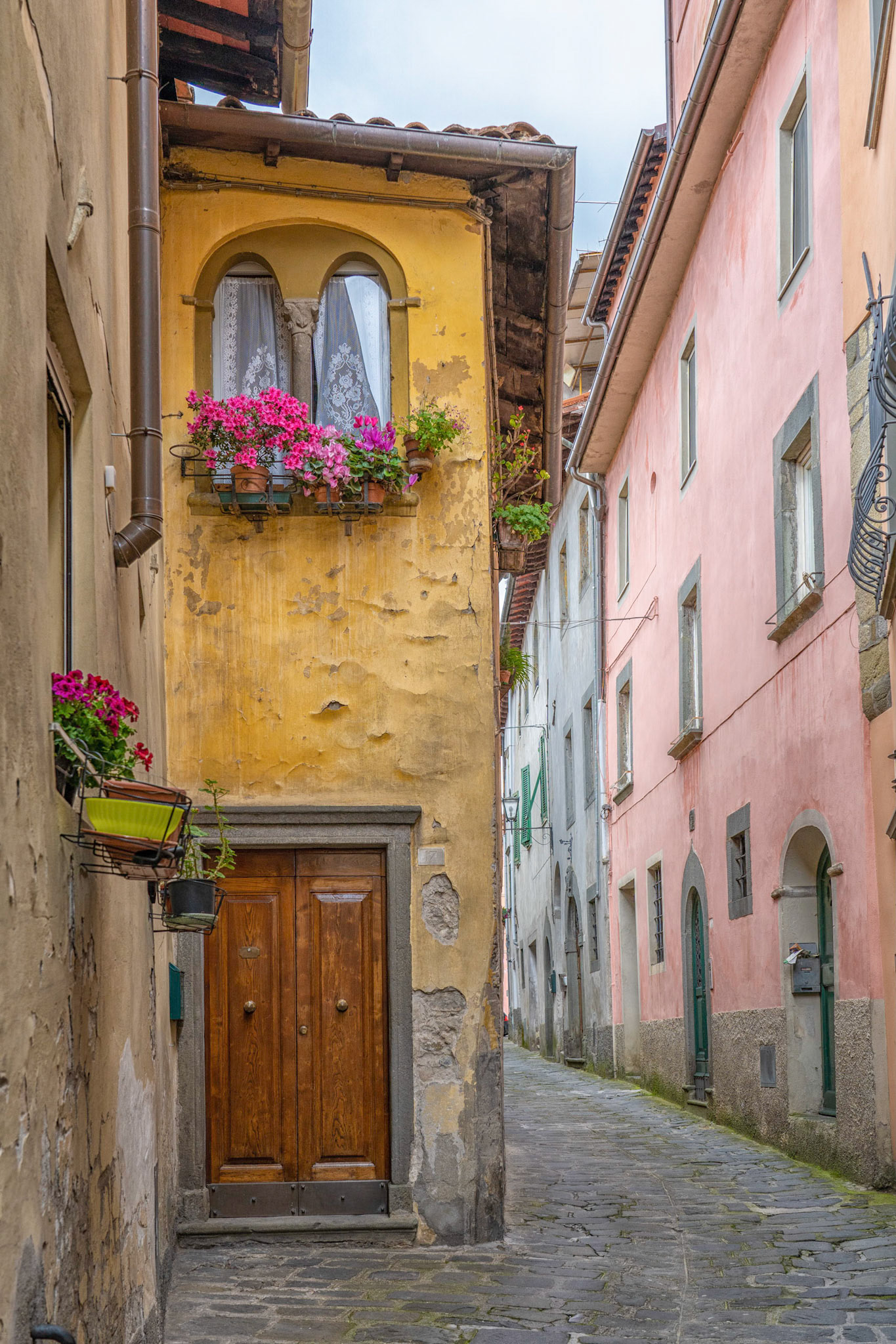 Barga Street