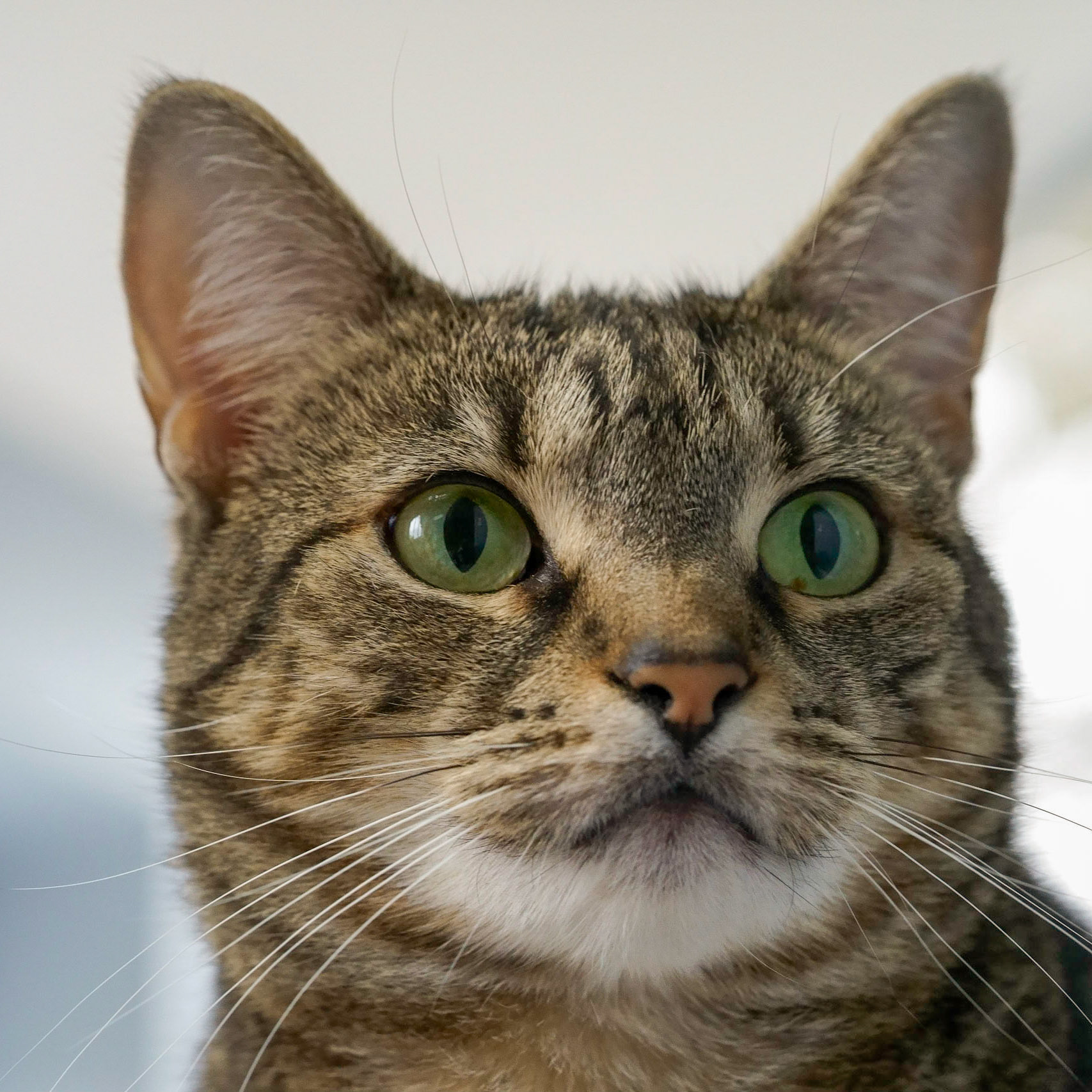 When's Dinner?