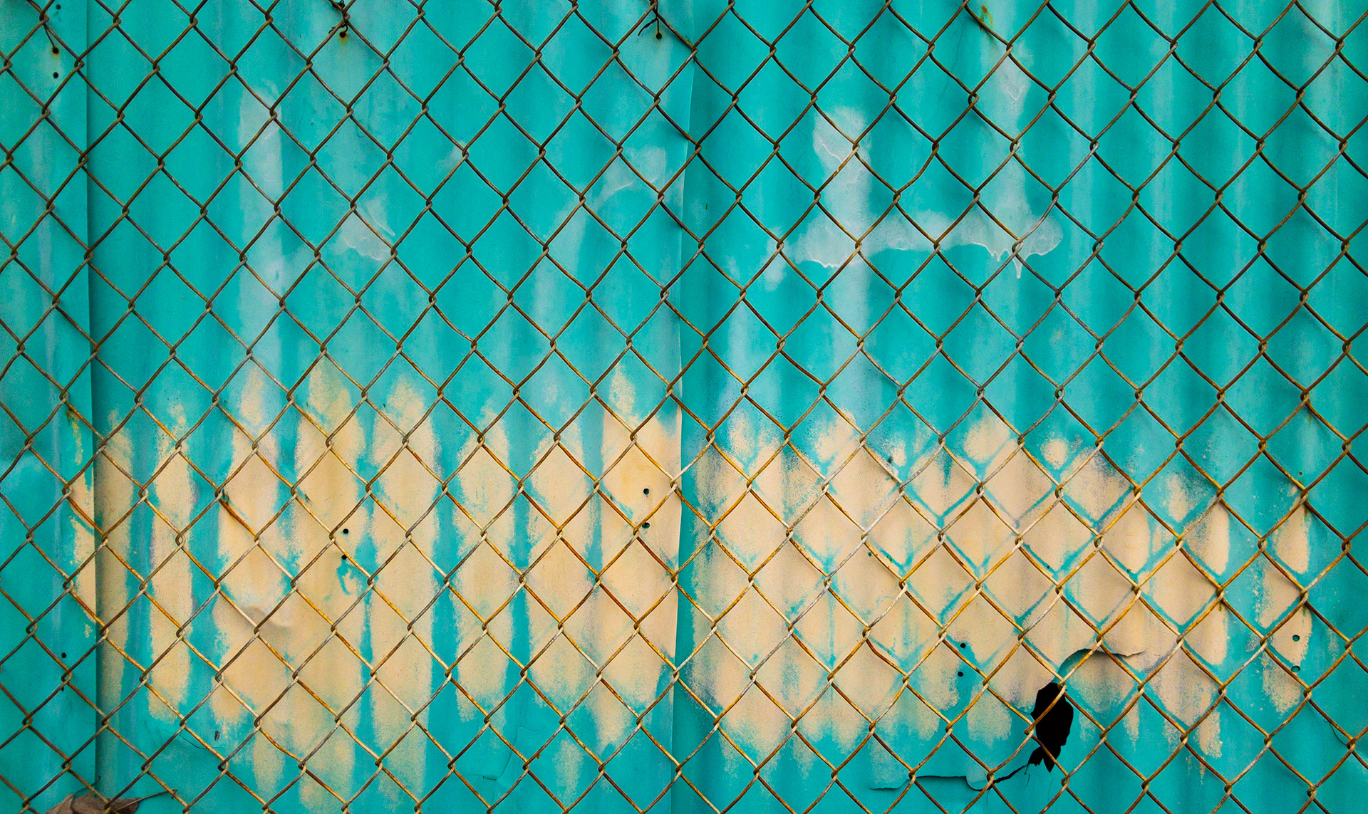Fenced Indigo, Los Angeles