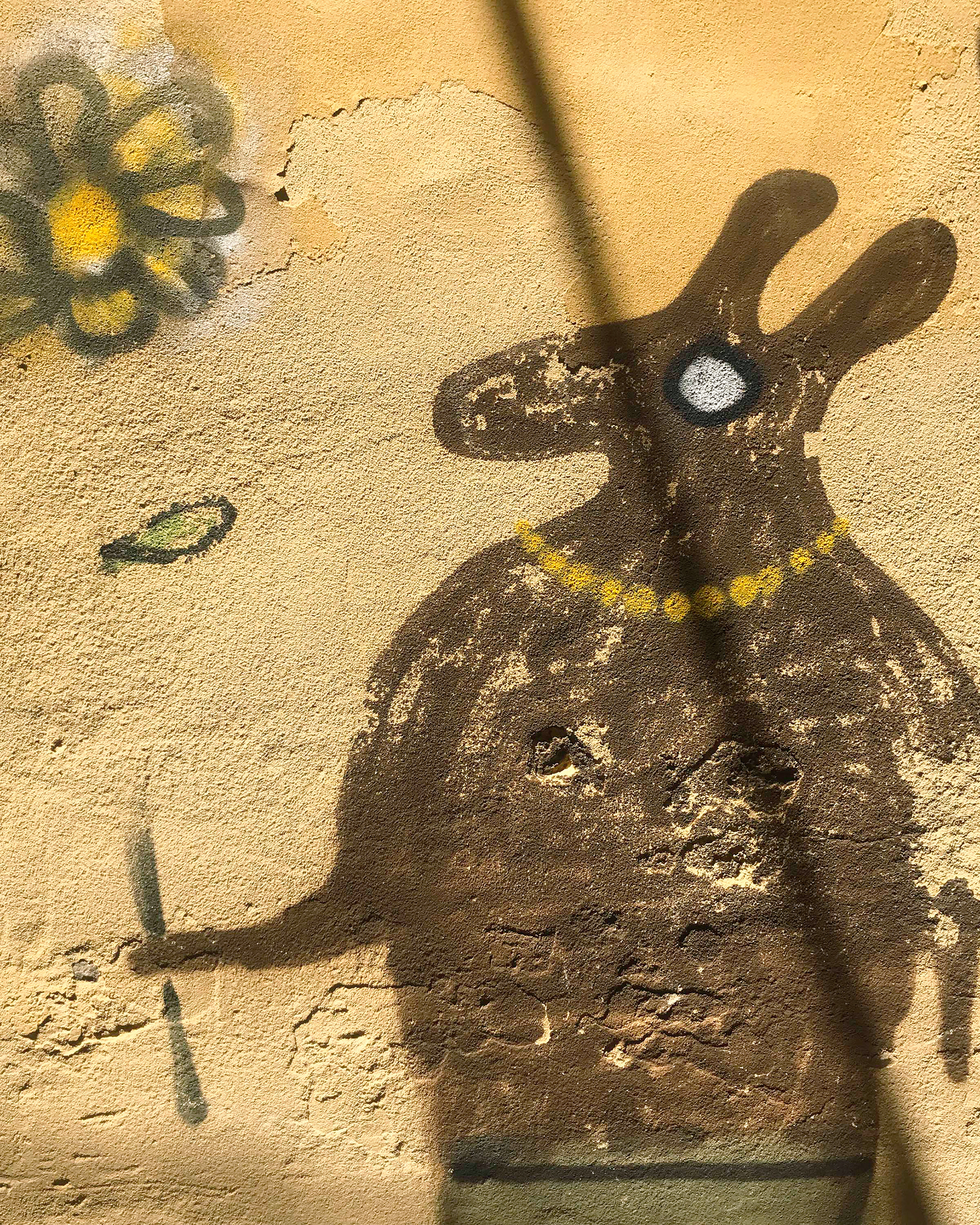 Venezia (Rabbit)
